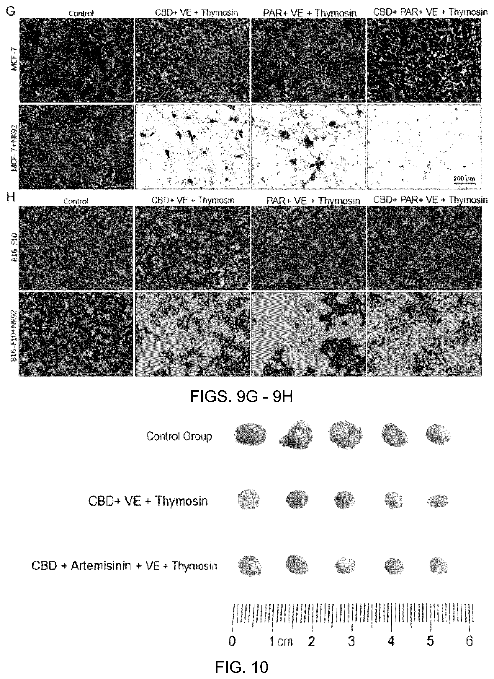 Patent US12599596 Figure 8 – Anti-tumor pharmaceutical composition based on immune checkpoint blockade and use thereof
