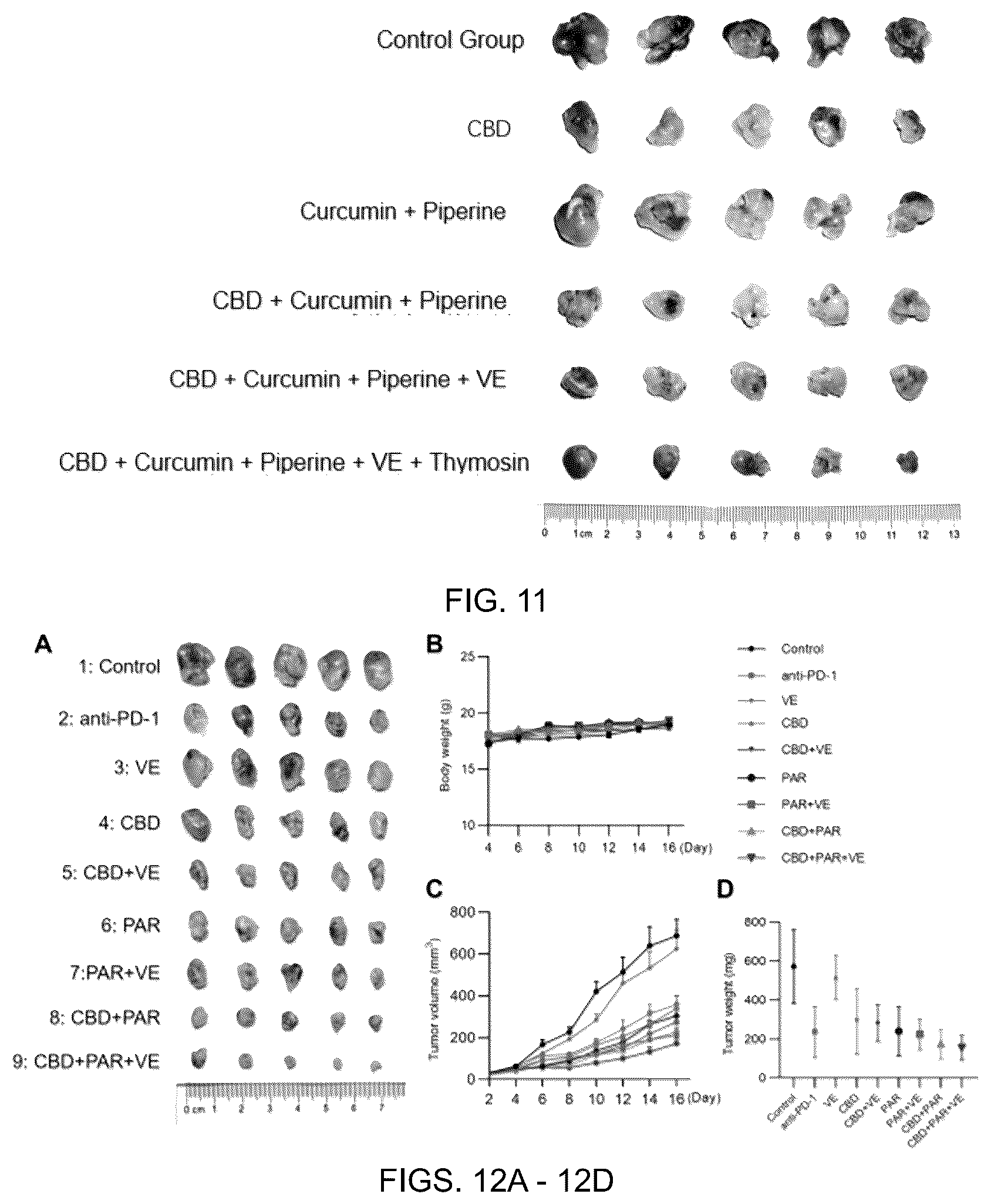 Patent US12599596 Figure 9 – Anti-tumor pharmaceutical composition based on immune checkpoint blockade and use thereof