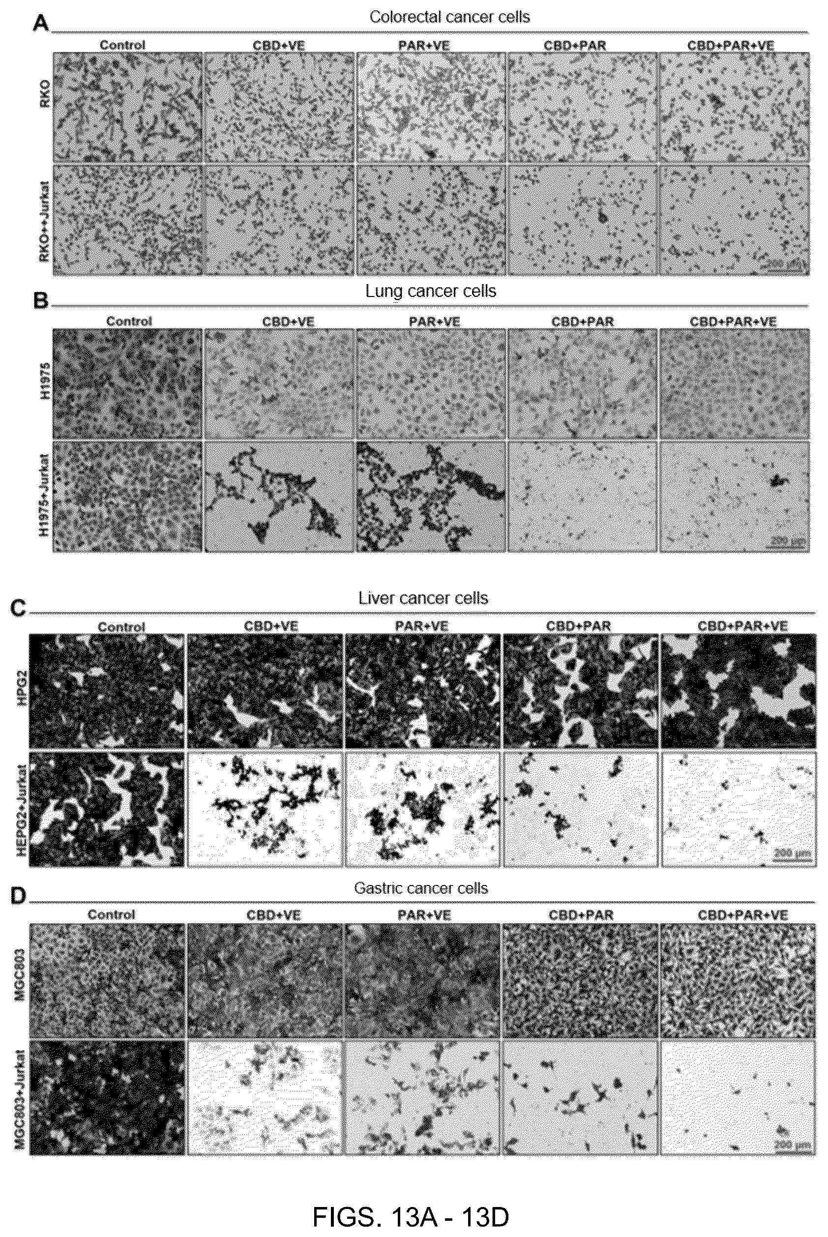 Patent US12599596 Figure 10 – Anti-tumor pharmaceutical composition based on immune checkpoint blockade and use thereof