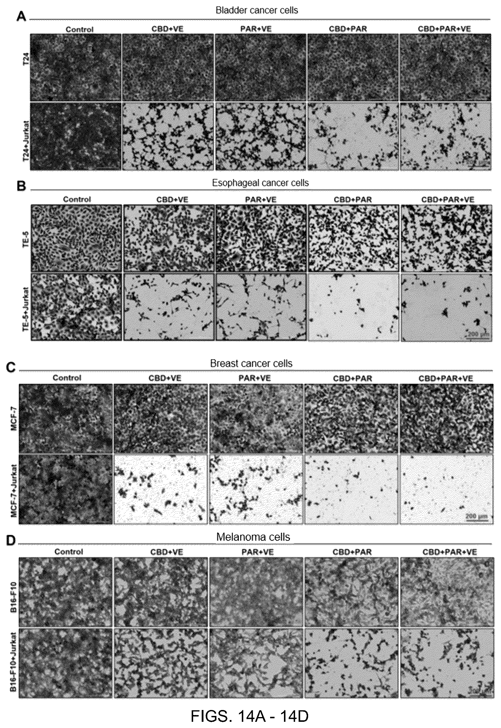 Patent US12599596 Figure 11 – Anti-tumor pharmaceutical composition based on immune checkpoint blockade and use thereof