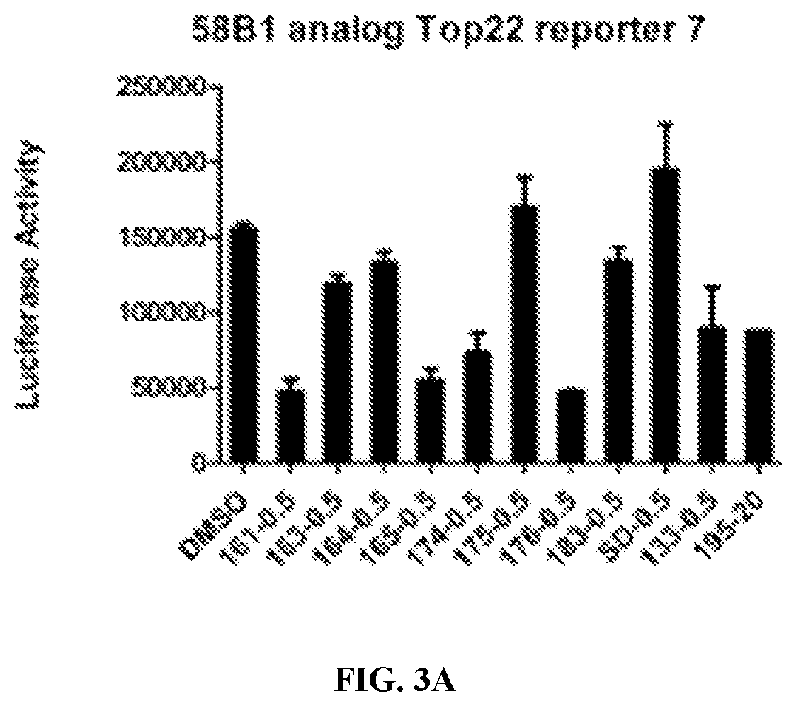 Patent US12599597 Figure 3 – Substituted N-benzhydrylacetamide inhibitors of jumanji domain histone demethylases for the treatment of cancer