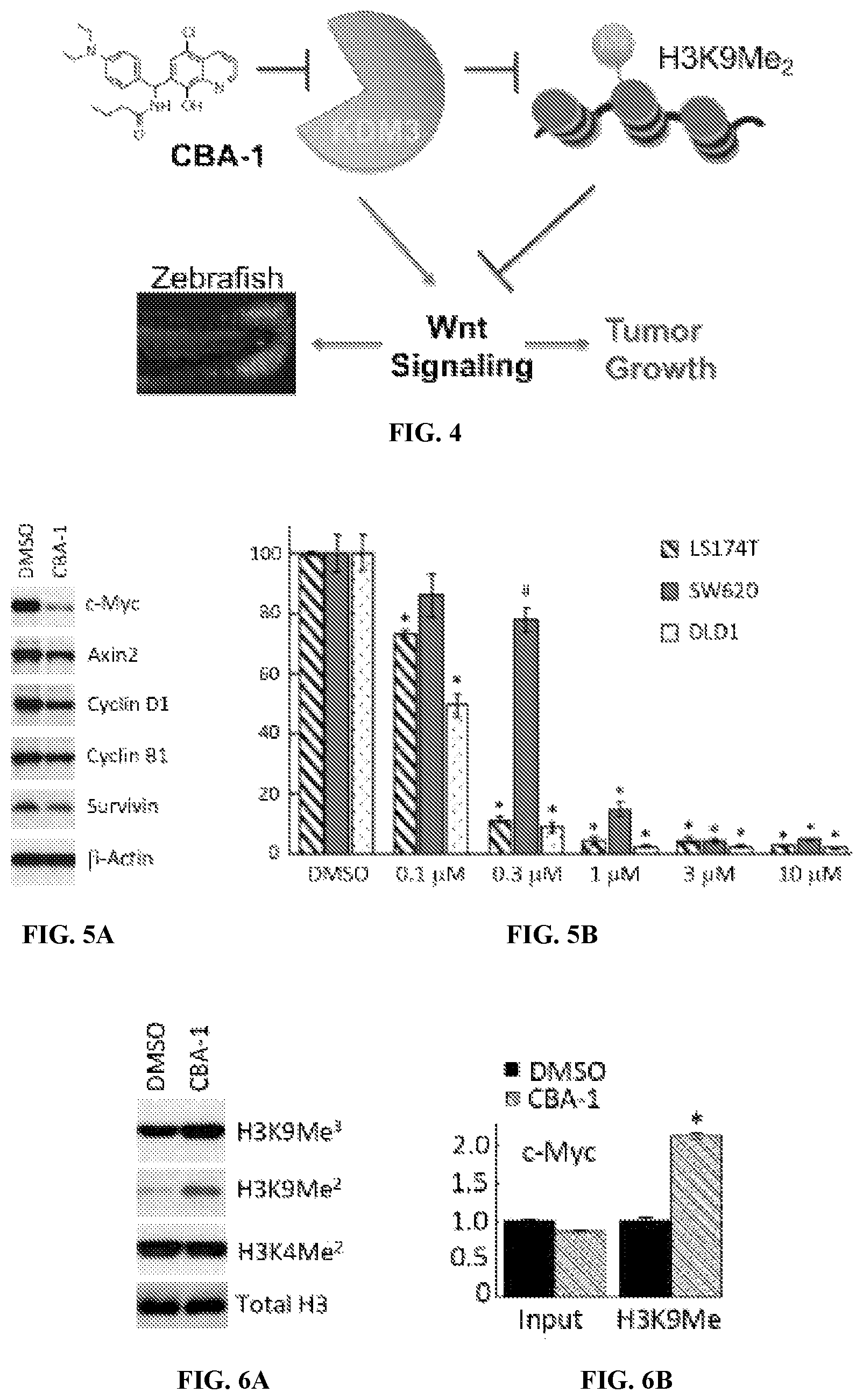 Patent US12599597 Figure 5 – Substituted N-benzhydrylacetamide inhibitors of jumanji domain histone demethylases for the treatment of cancer