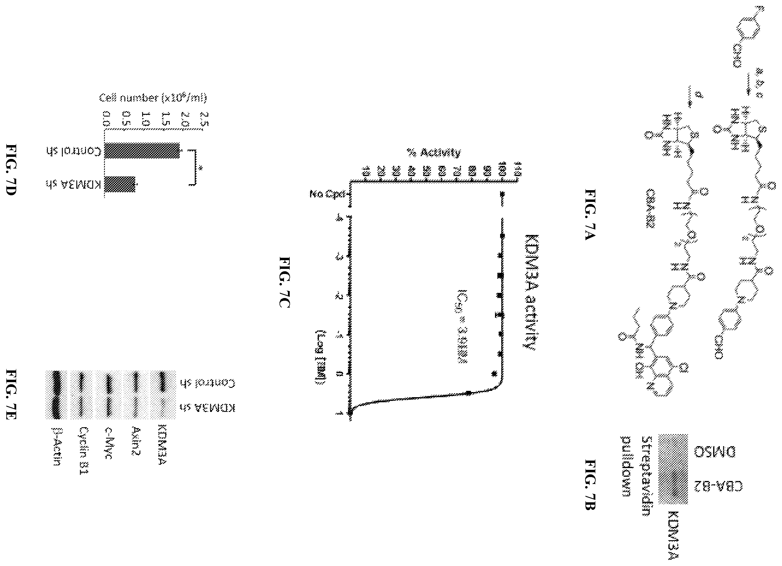 Patent US12599597 Figure 6 – Substituted N-benzhydrylacetamide inhibitors of jumanji domain histone demethylases for the treatment of cancer