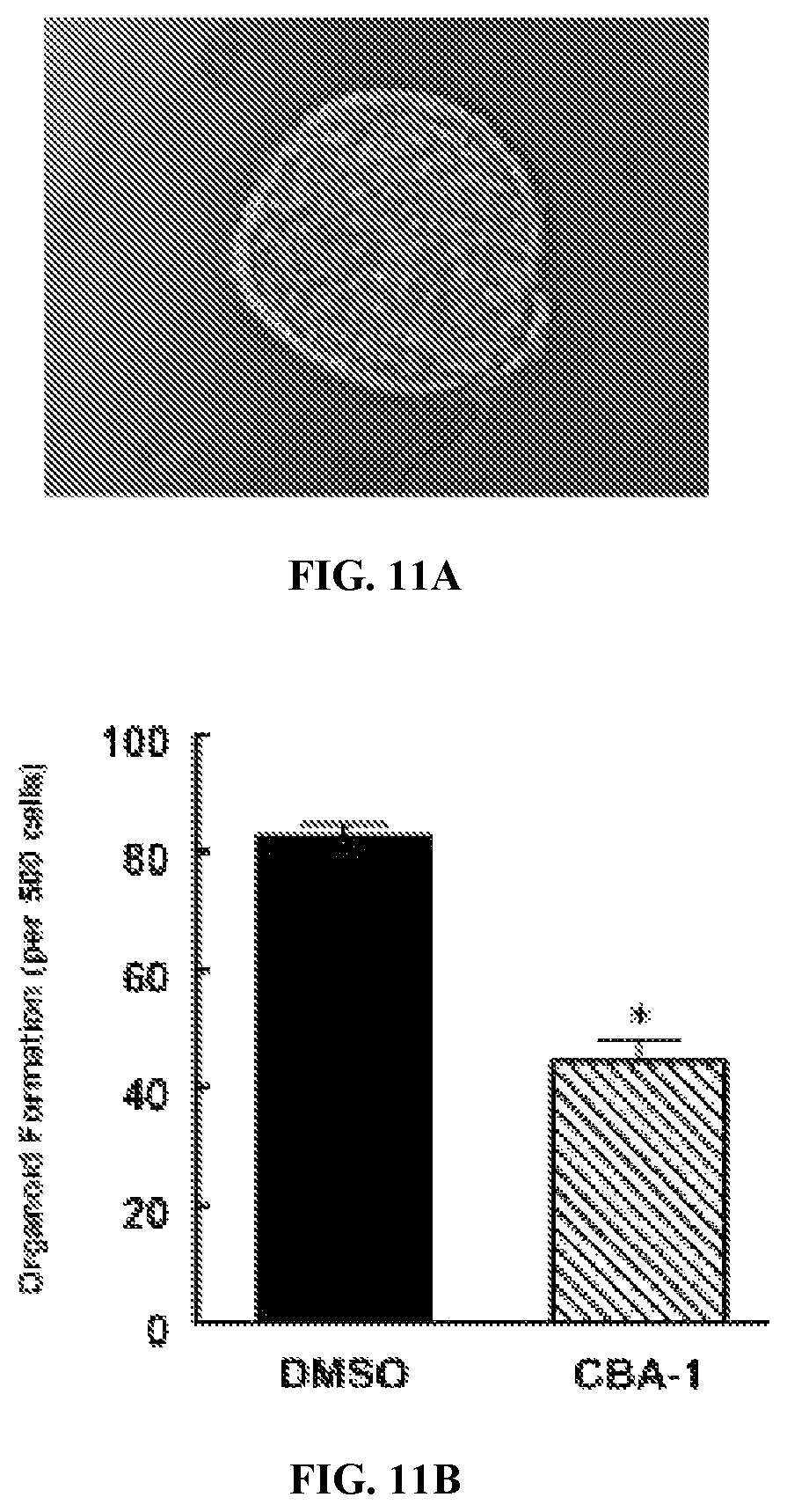 Patent US12599597 Figure 9 – Substituted N-benzhydrylacetamide inhibitors of jumanji domain histone demethylases for the treatment of cancer