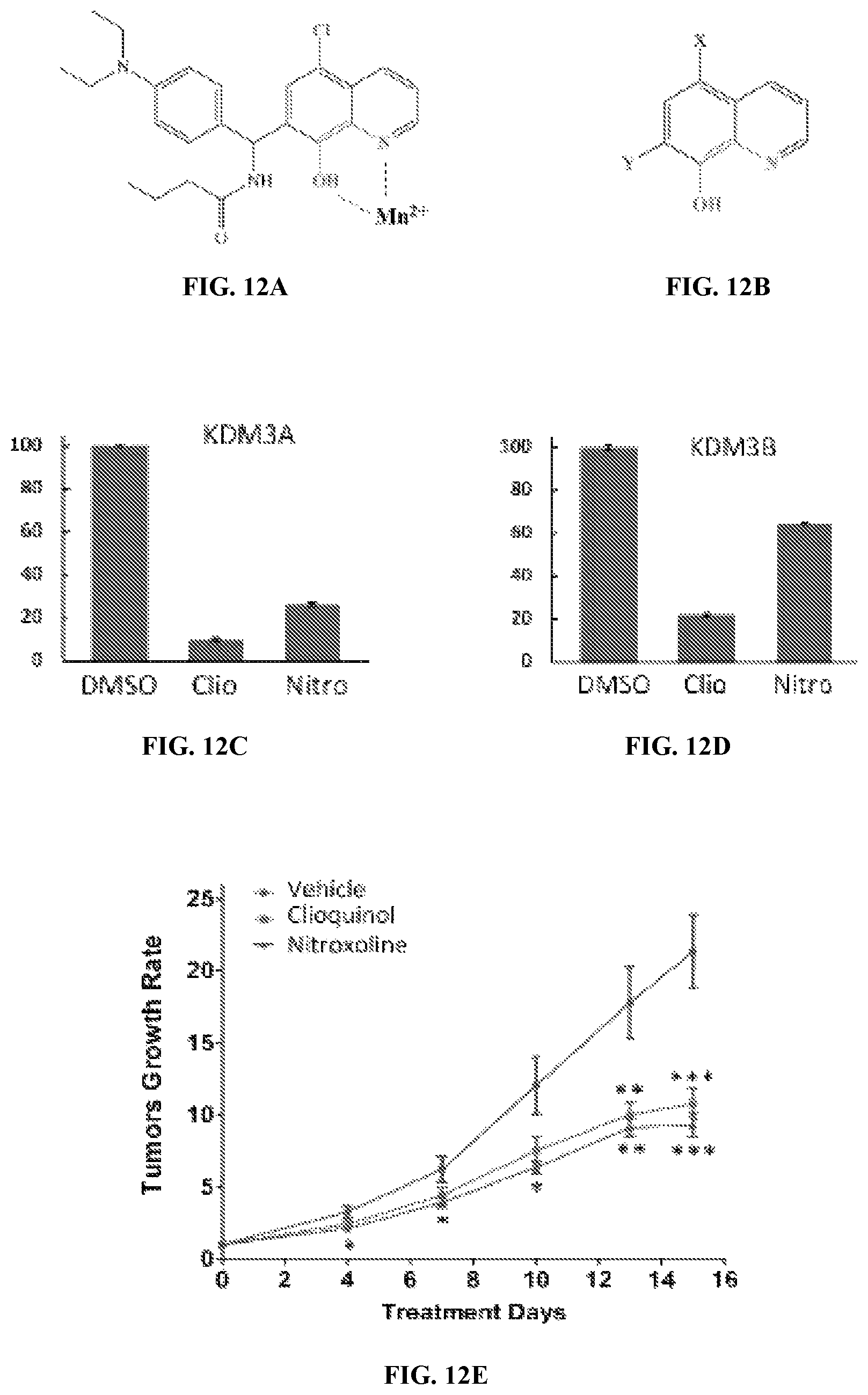 Patent US12599597 Figure 10 – Substituted N-benzhydrylacetamide inhibitors of jumanji domain histone demethylases for the treatment of cancer