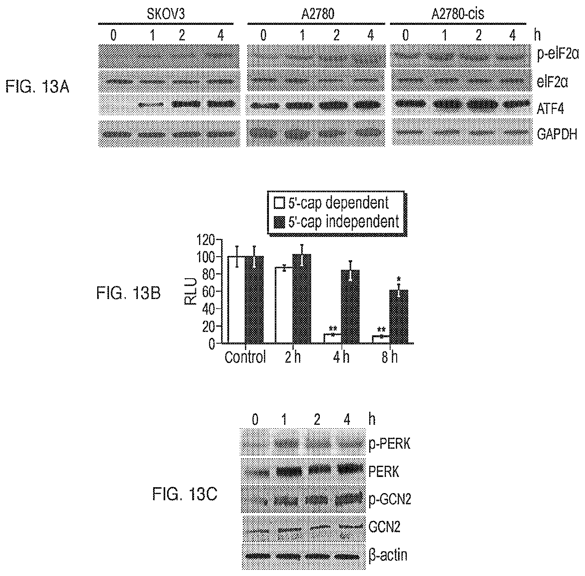 Patent US12599599 Figure 13 – Anti-inflammatory, anti-cancer, and anti-angiogenic compounds, pharmaceutical compositions, and methods of making and using thereof