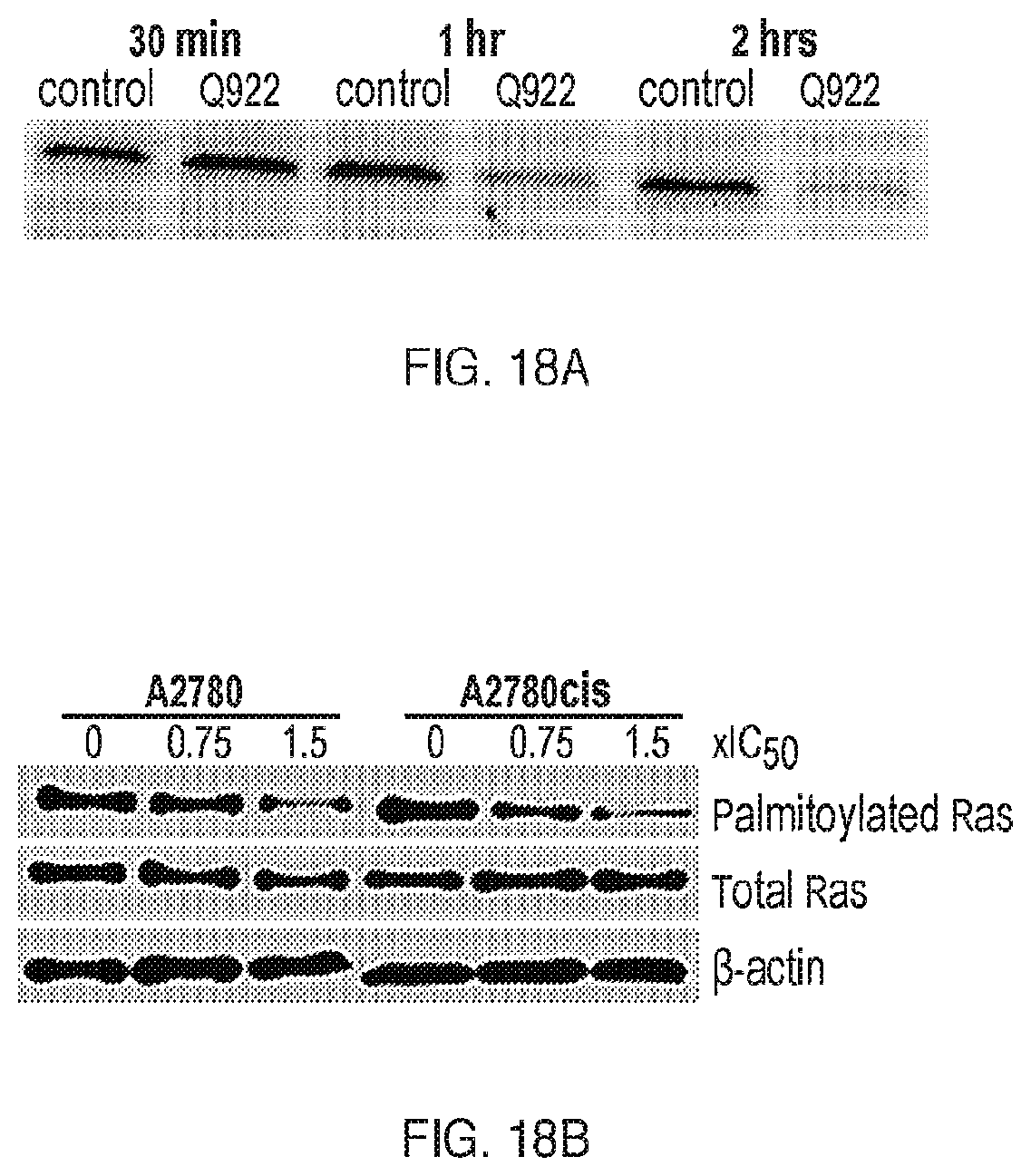 Patent US12599599 Figure 18 – Anti-inflammatory, anti-cancer, and anti-angiogenic compounds, pharmaceutical compositions, and methods of making and using thereof