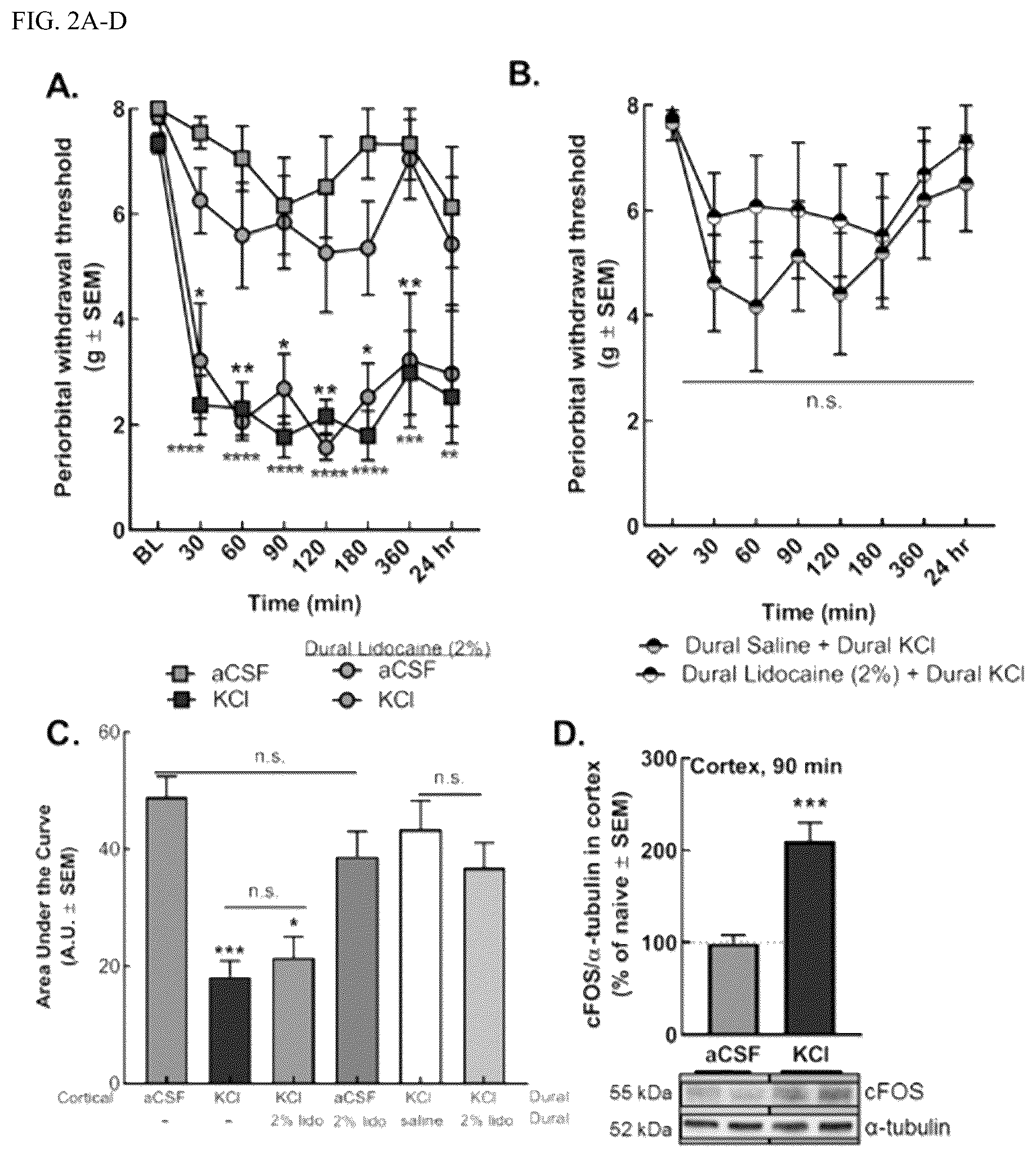 Patent US12599600 Figure 2 – Compositions and methods for preventing and treating headache through enhancing 2-arachydonyl glyerol activity