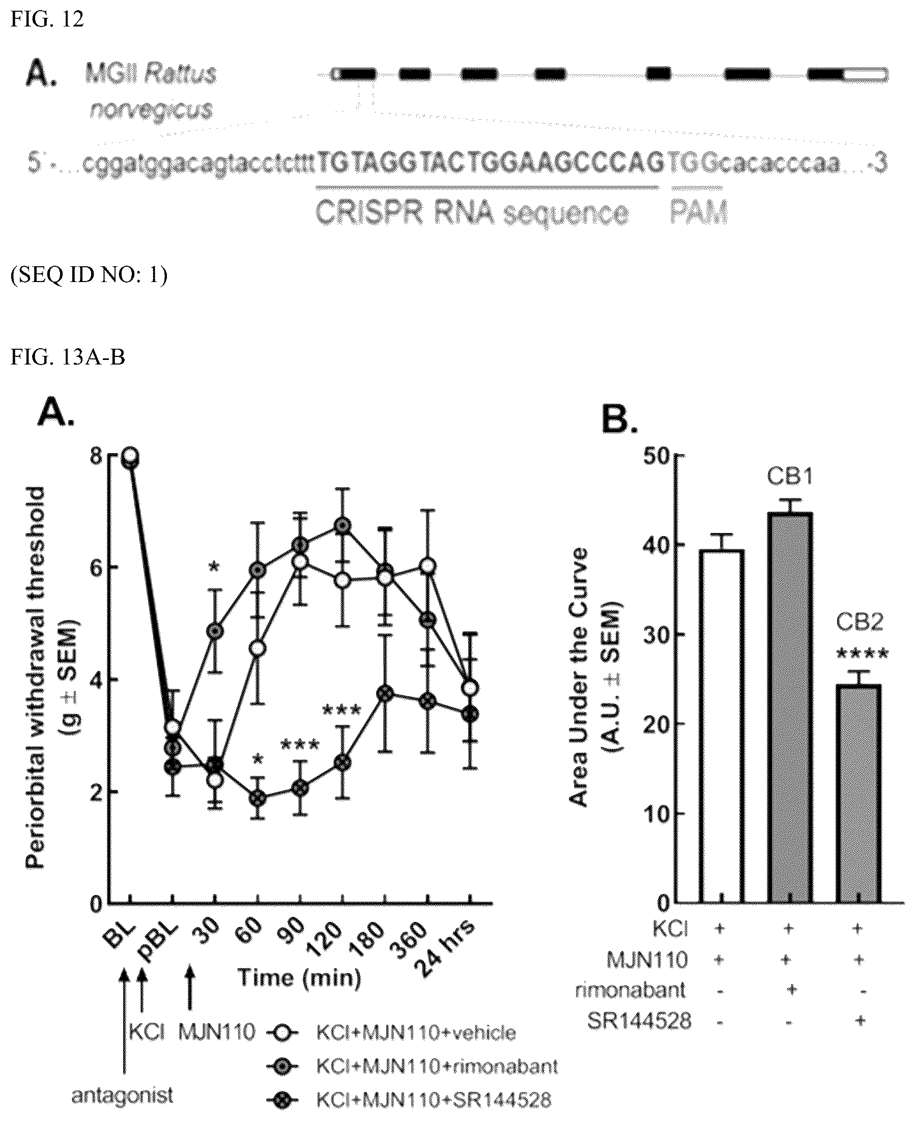 Patent US12599600 Figure 8 – Compositions and methods for preventing and treating headache through enhancing 2-arachydonyl glyerol activity