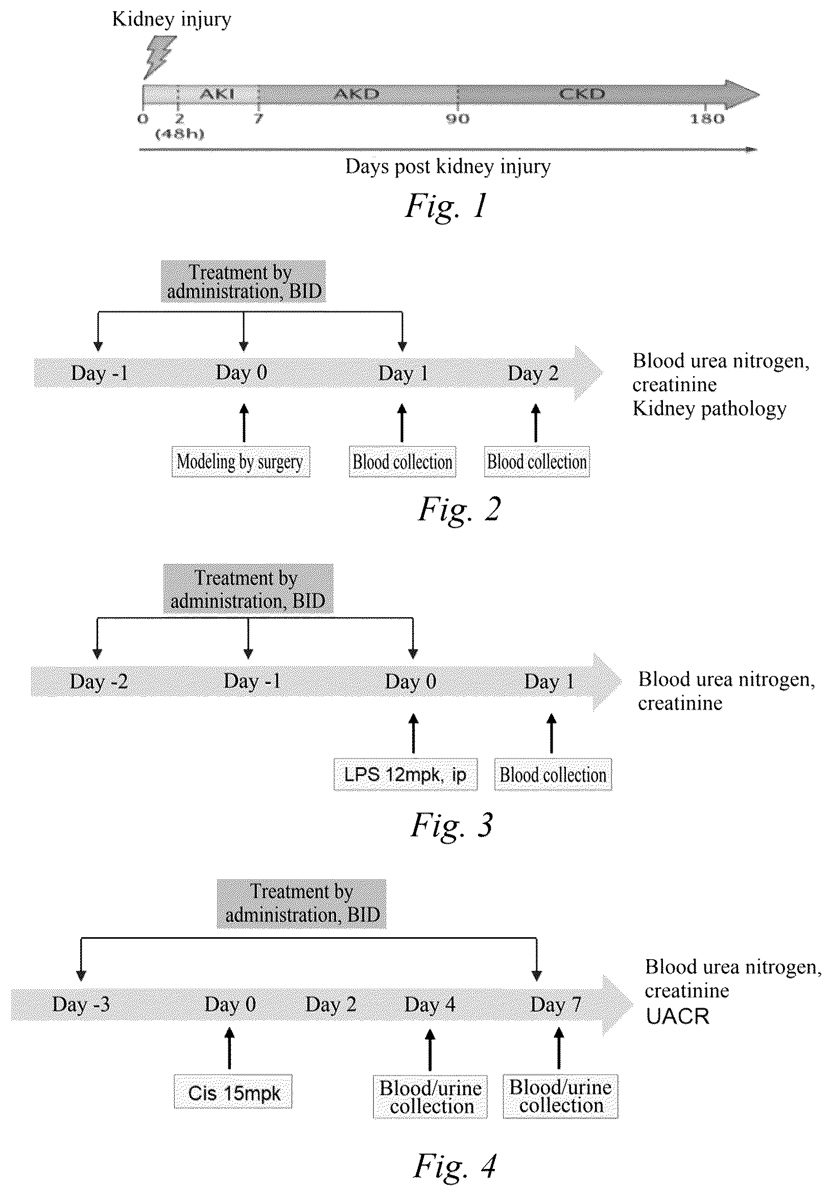 Patent US12599604 — Application of JAK inhibitor in kidney disease — Figure 1