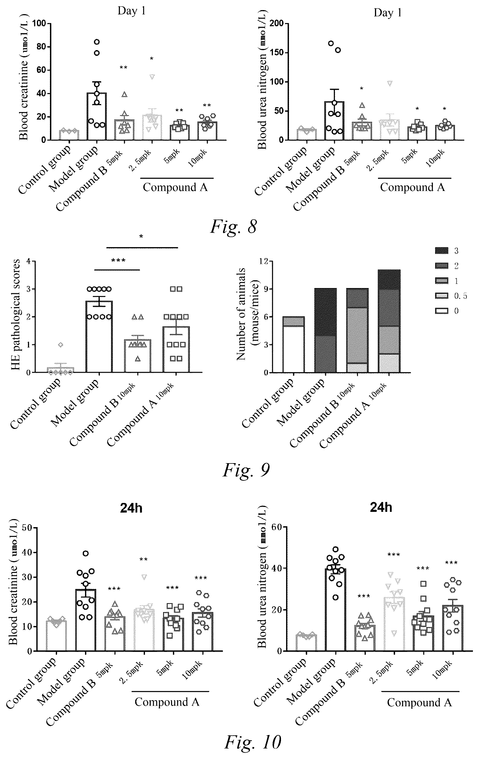 Patent US12599604 Figure 3 – Application of JAK inhibitor in kidney disease