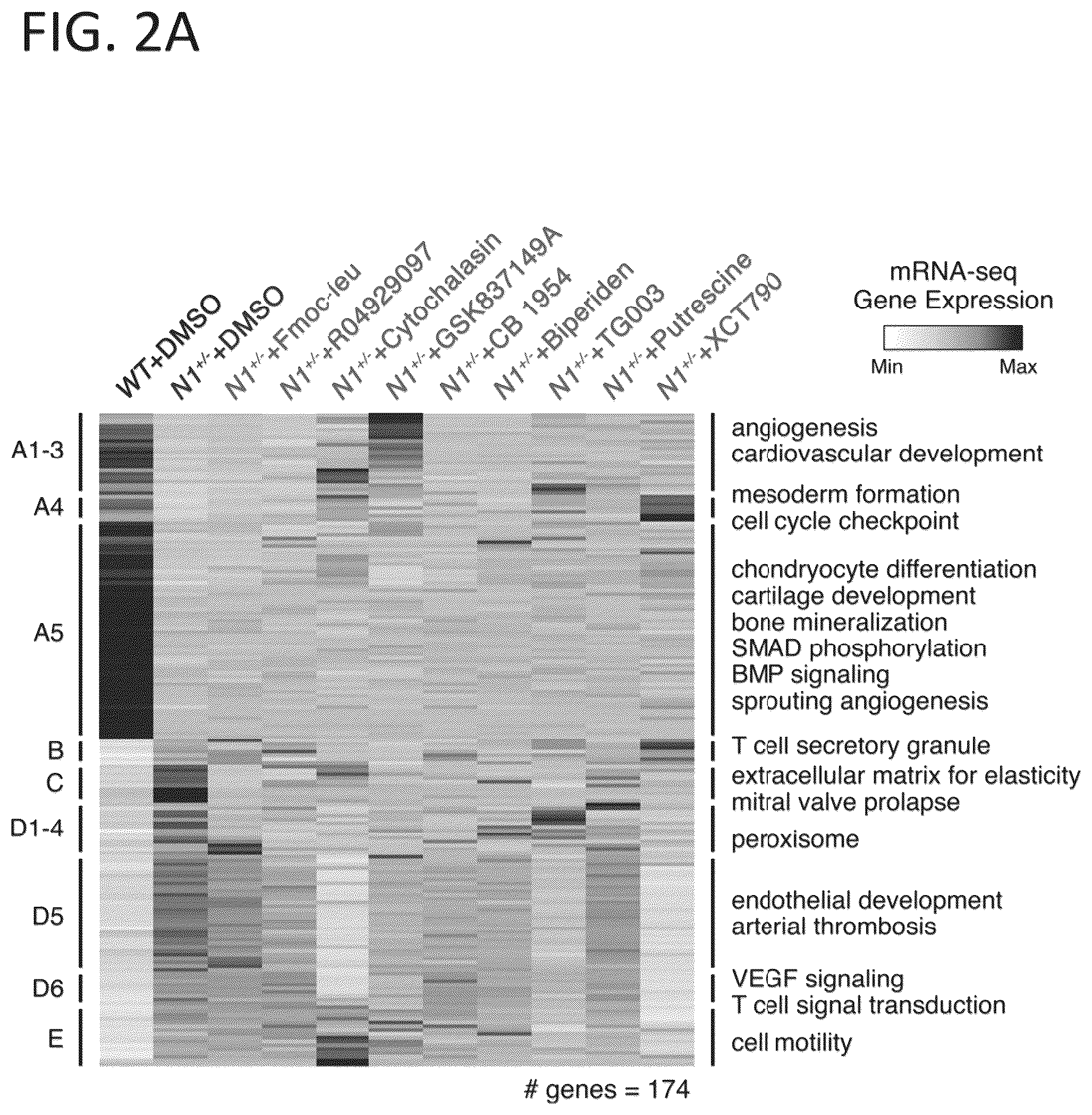 Patent US12599608 Figure 6 – Methods for treating cardiac valve disease