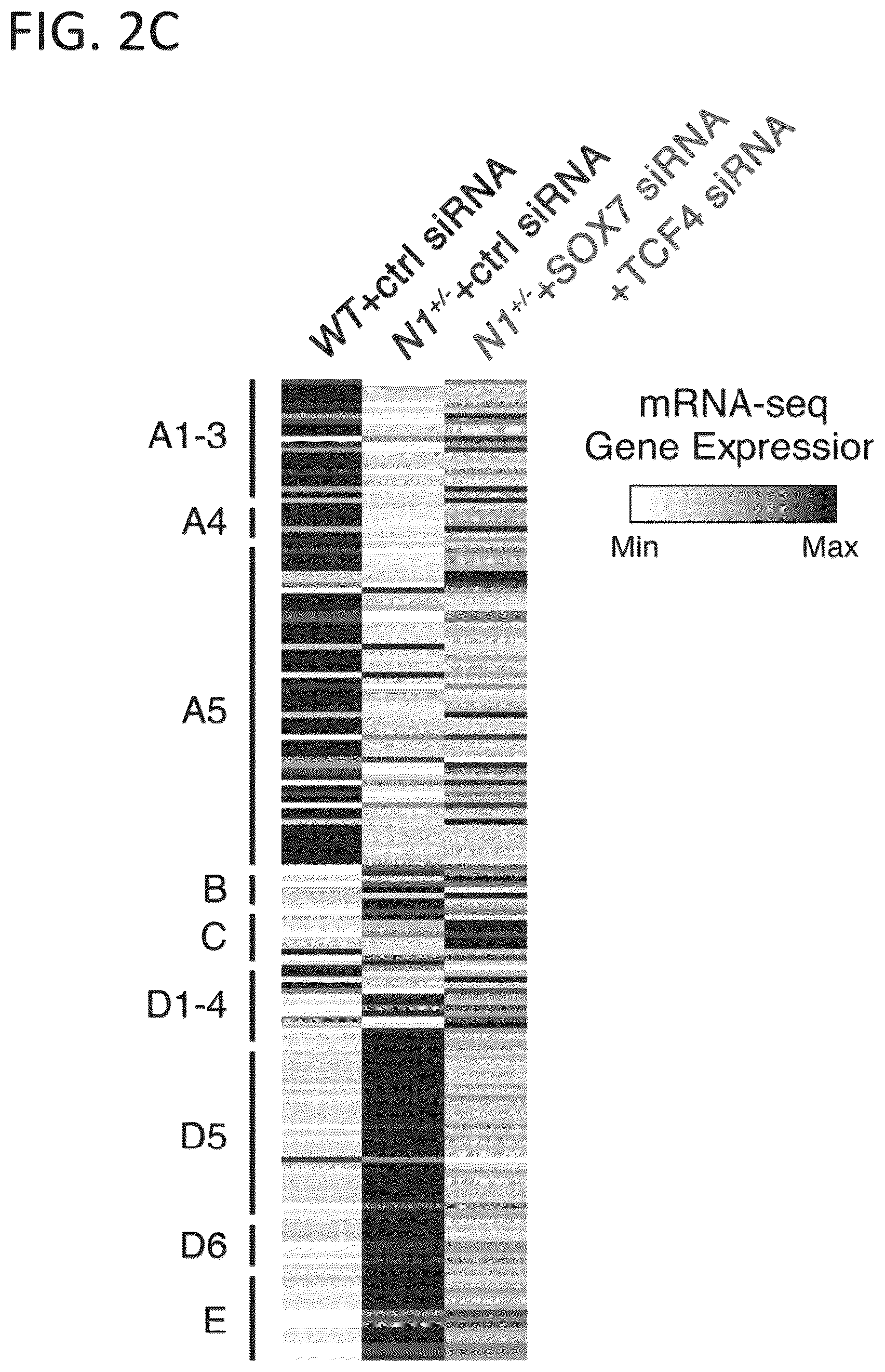 Patent US12599608 Figure 8 – Methods for treating cardiac valve disease