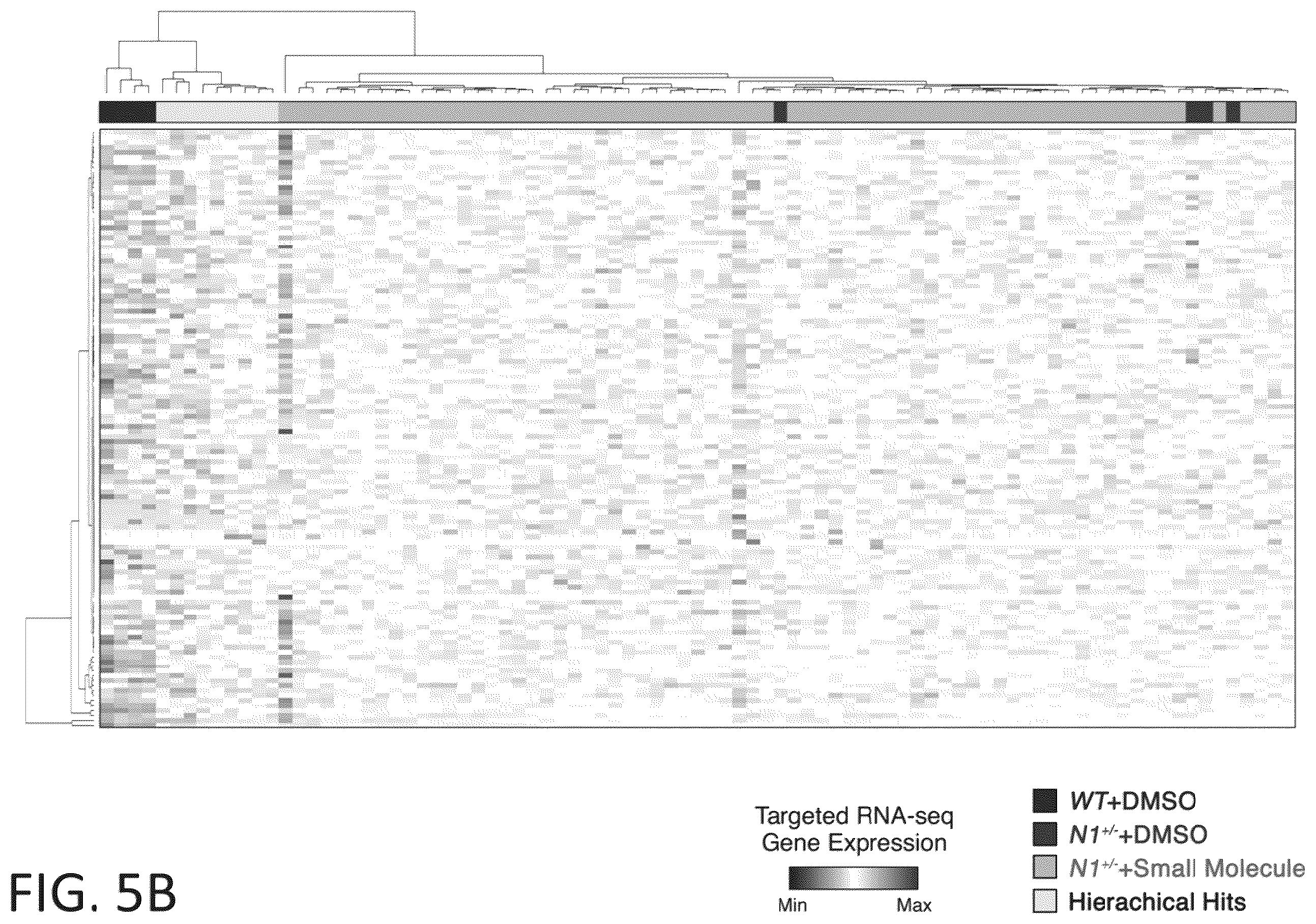 Patent US12599608 Figure 18 – Methods for treating cardiac valve disease