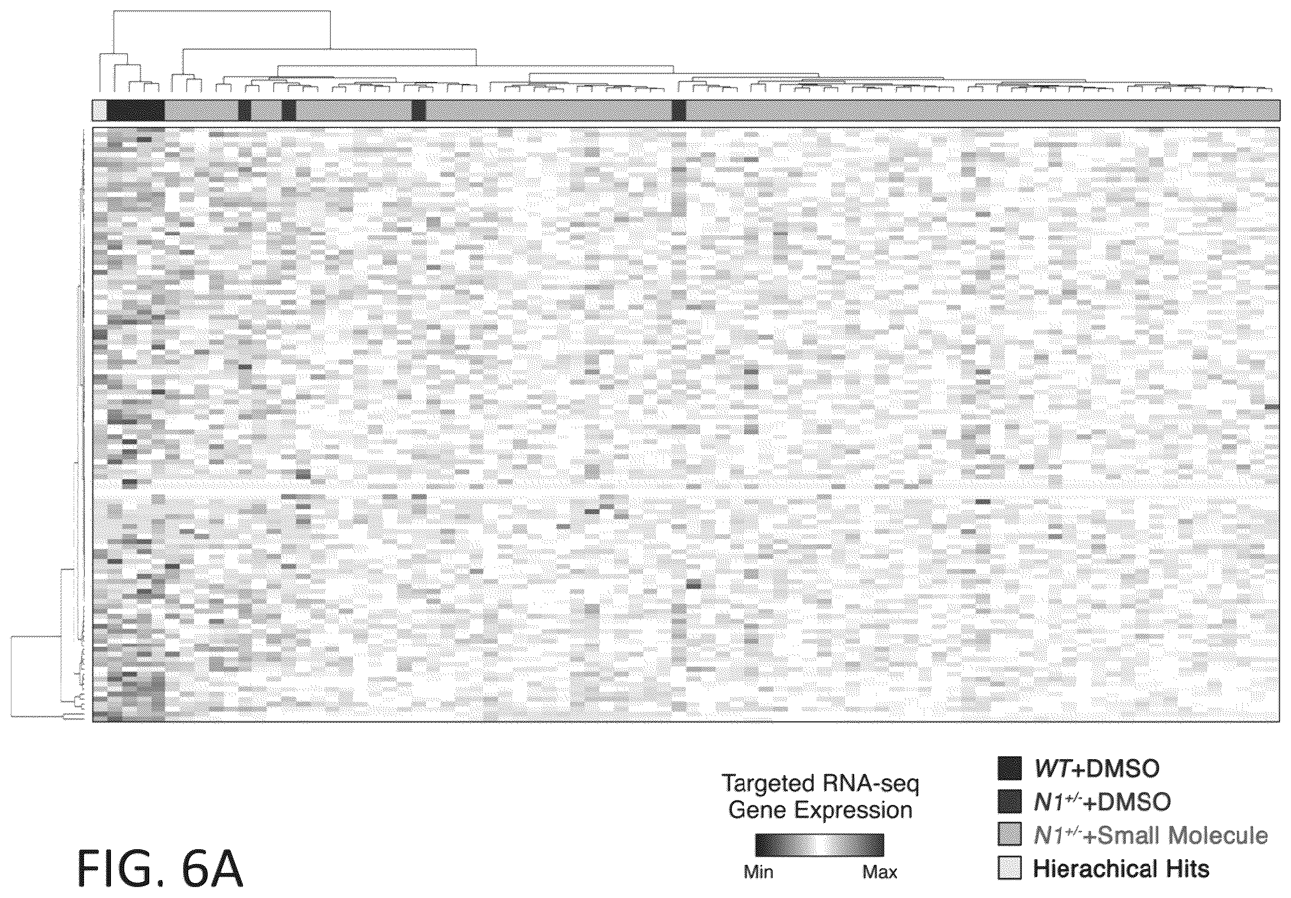Patent US12599608 Figure 19 – Methods for treating cardiac valve disease