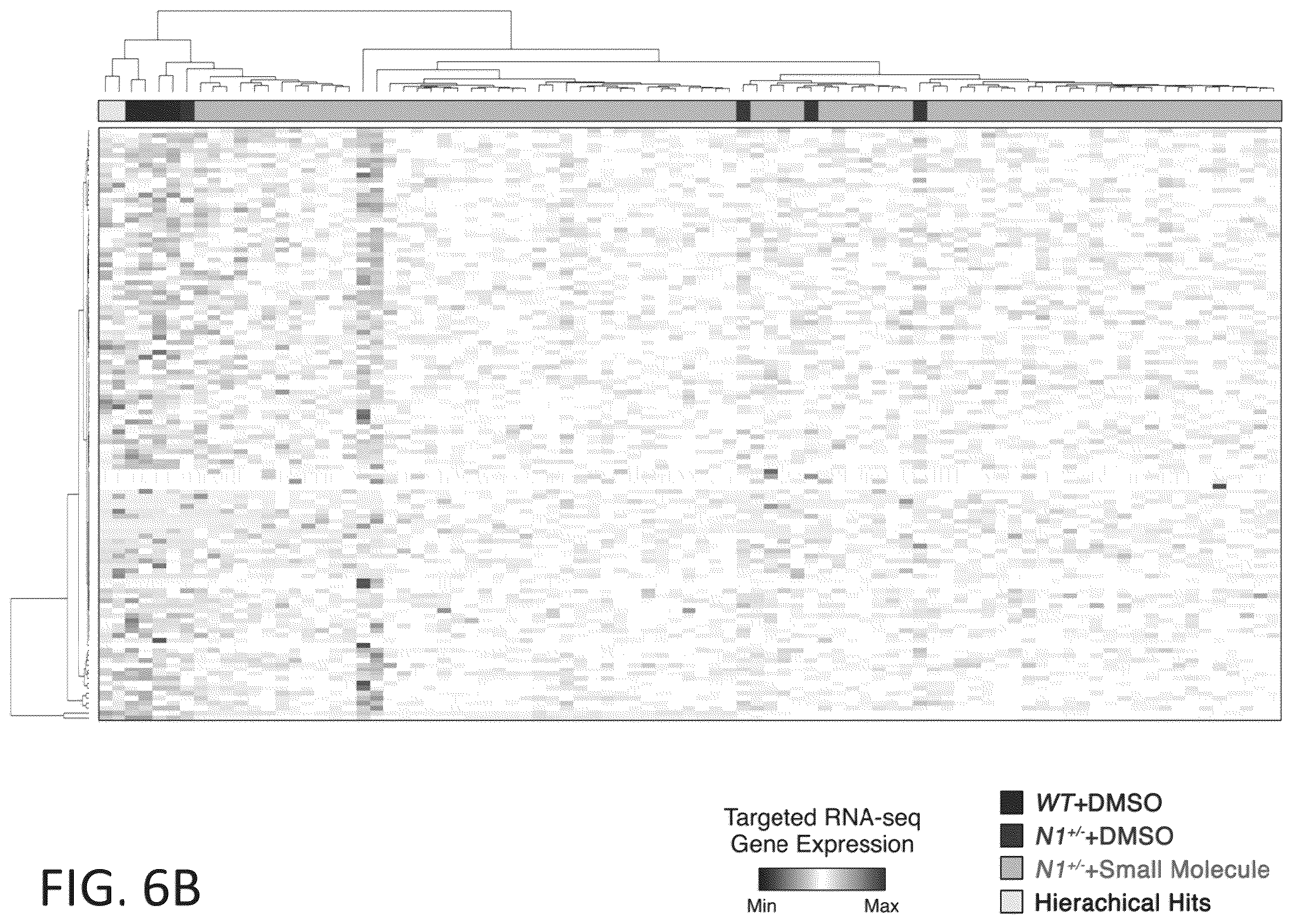 Patent US12599608 Figure 20 – Methods for treating cardiac valve disease