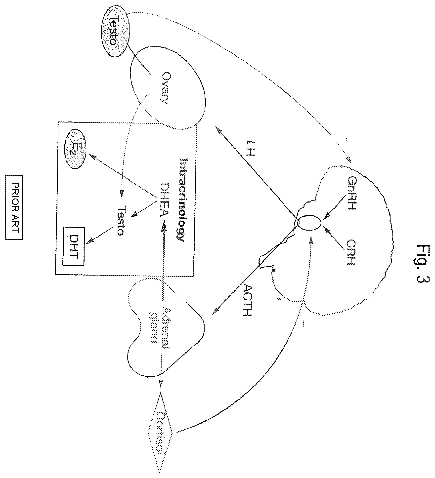 Patent US12599612 Figure 5 – Pharmaceutical use