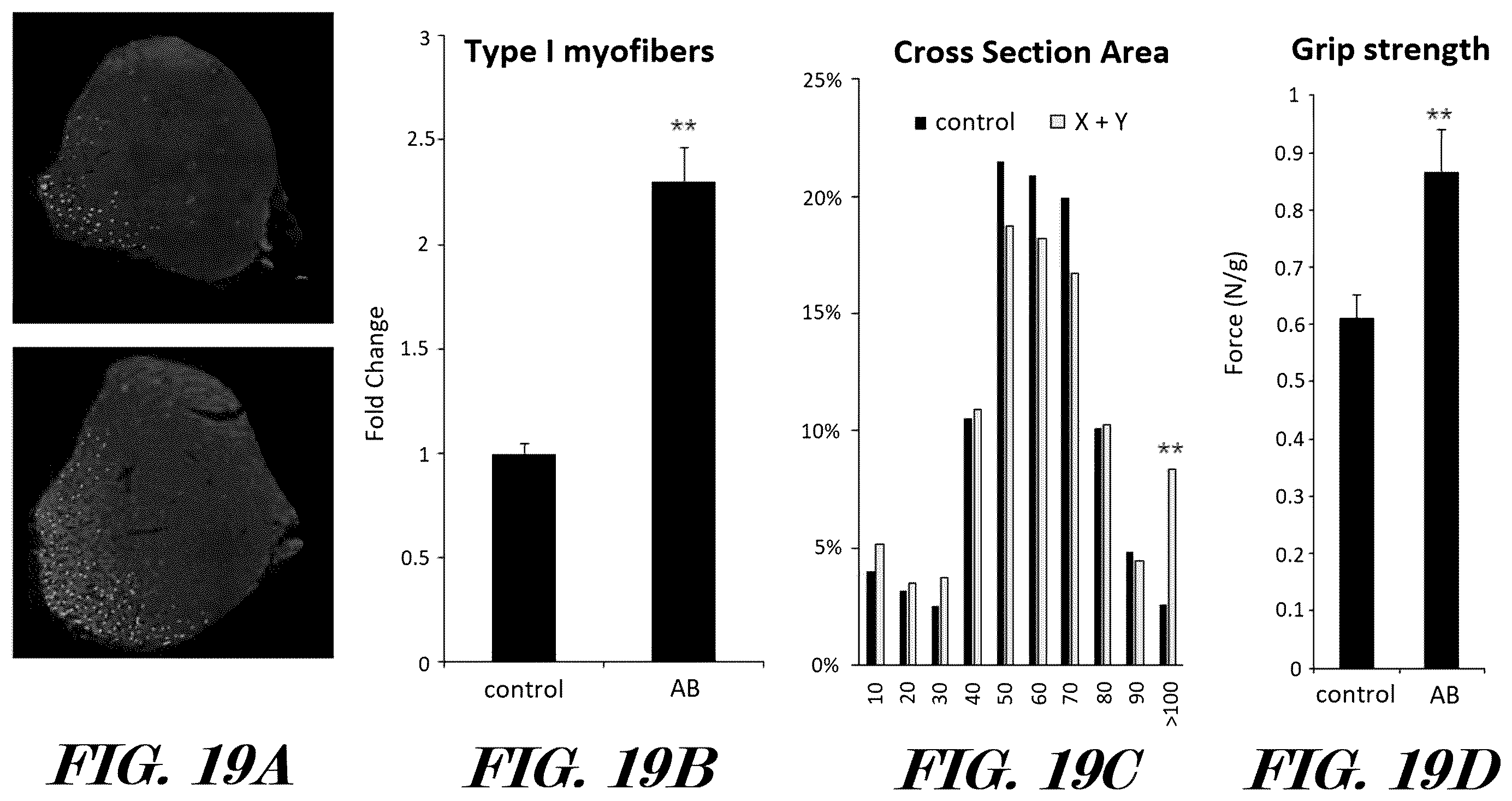 Patent US12599614 Figure 19 – Methods and pharmaceutical compositions for the treatment and prophylaxis of microbial infectious diseases and associated inflammatory disorders and for the treatment and prophylaxis of aging and associated diseases
