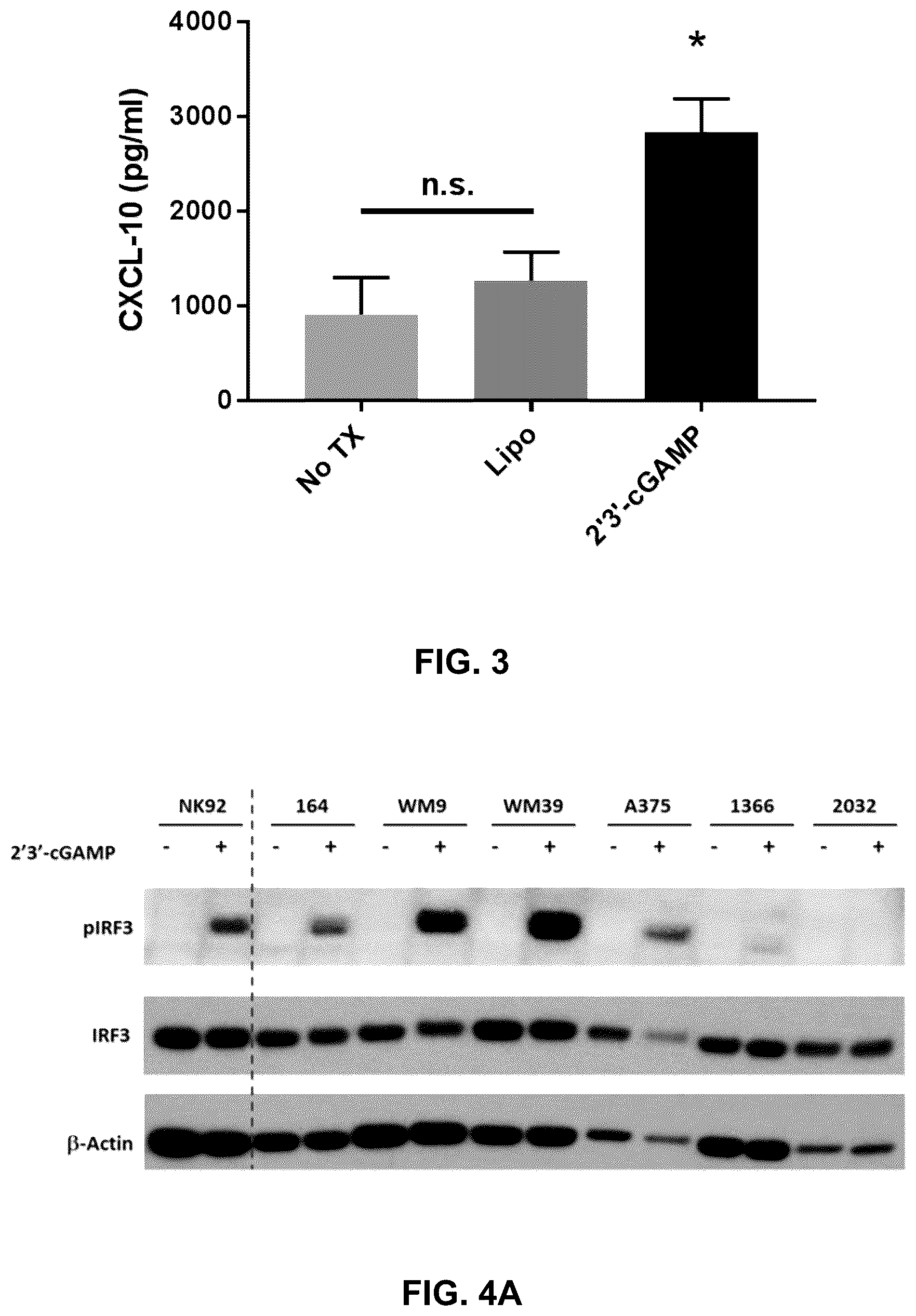 Patent US12599621 Figure 3 – Enhancing anti-tumor response in melanoma cells with defective sting signaling
