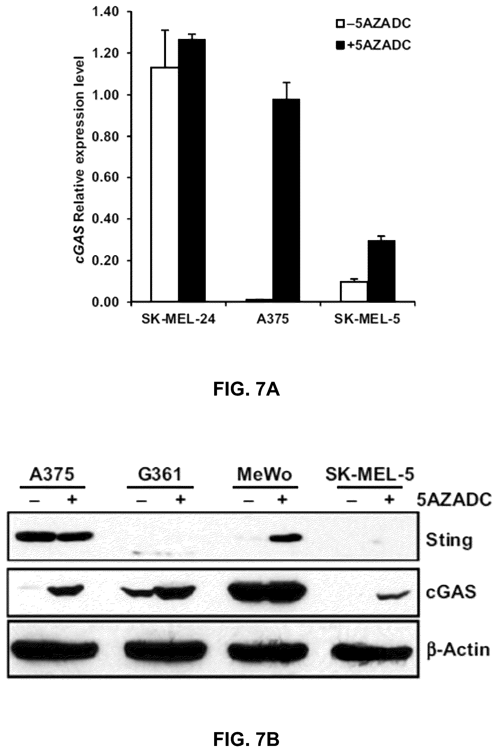 Patent US12599621 Figure 9 – Enhancing anti-tumor response in melanoma cells with defective sting signaling