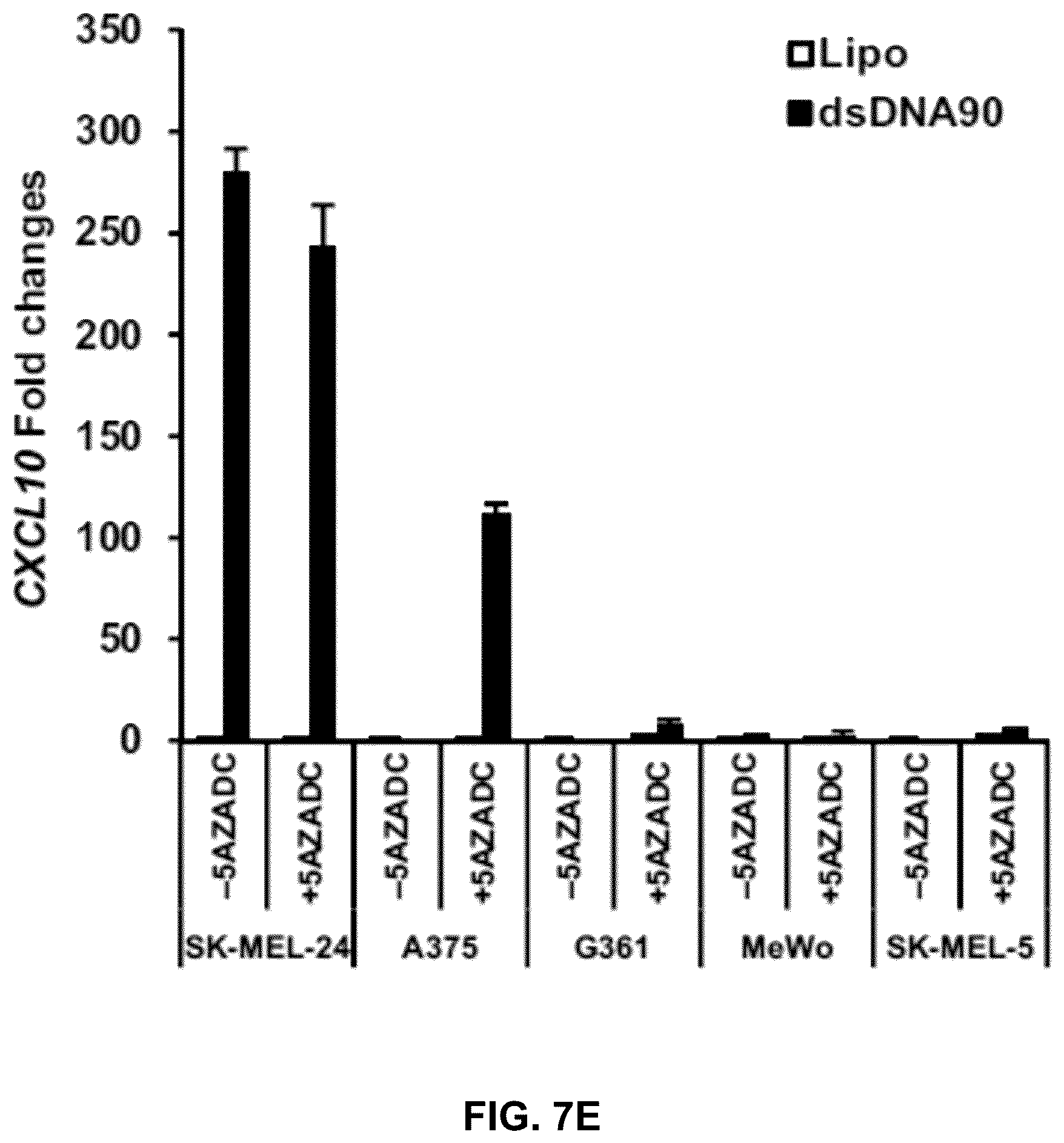 Patent US12599621 Figure 12 – Enhancing anti-tumor response in melanoma cells with defective sting signaling