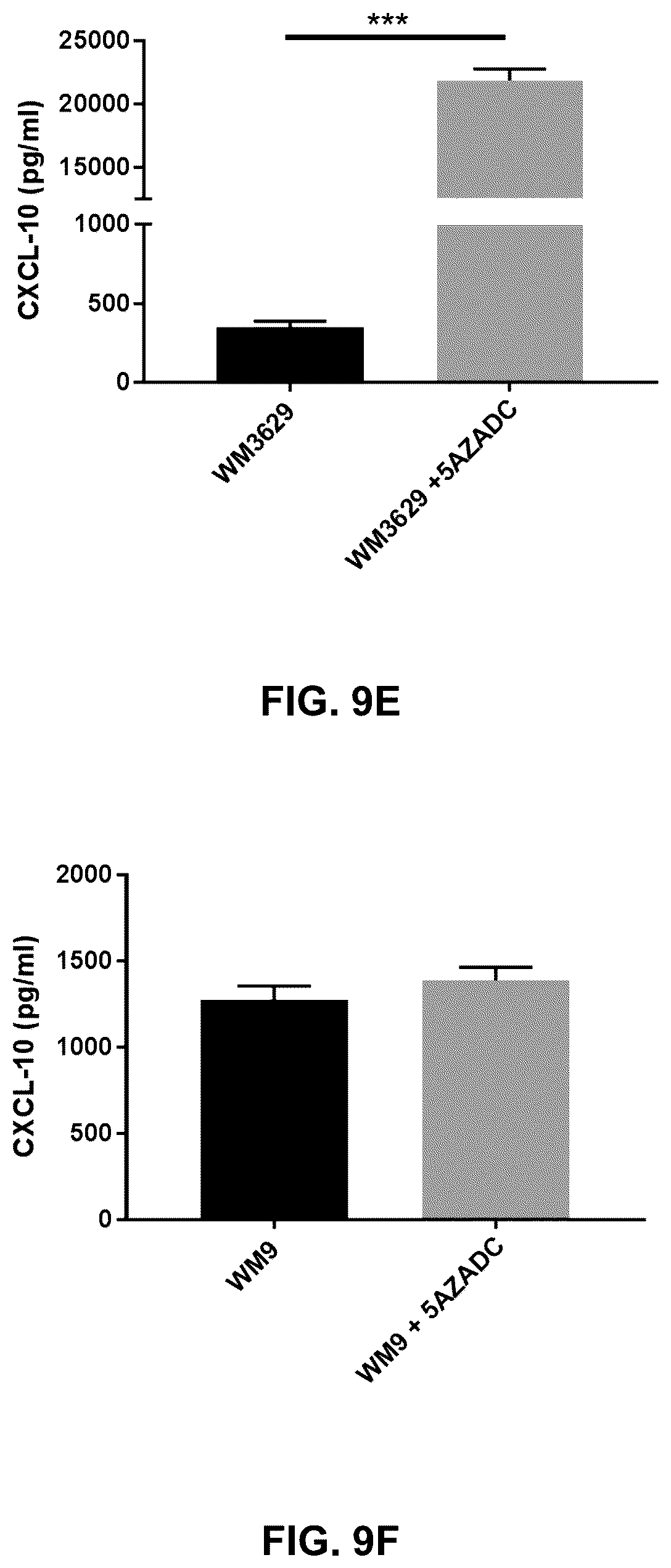 Patent US12599621 Figure 17 – Enhancing anti-tumor response in melanoma cells with defective sting signaling