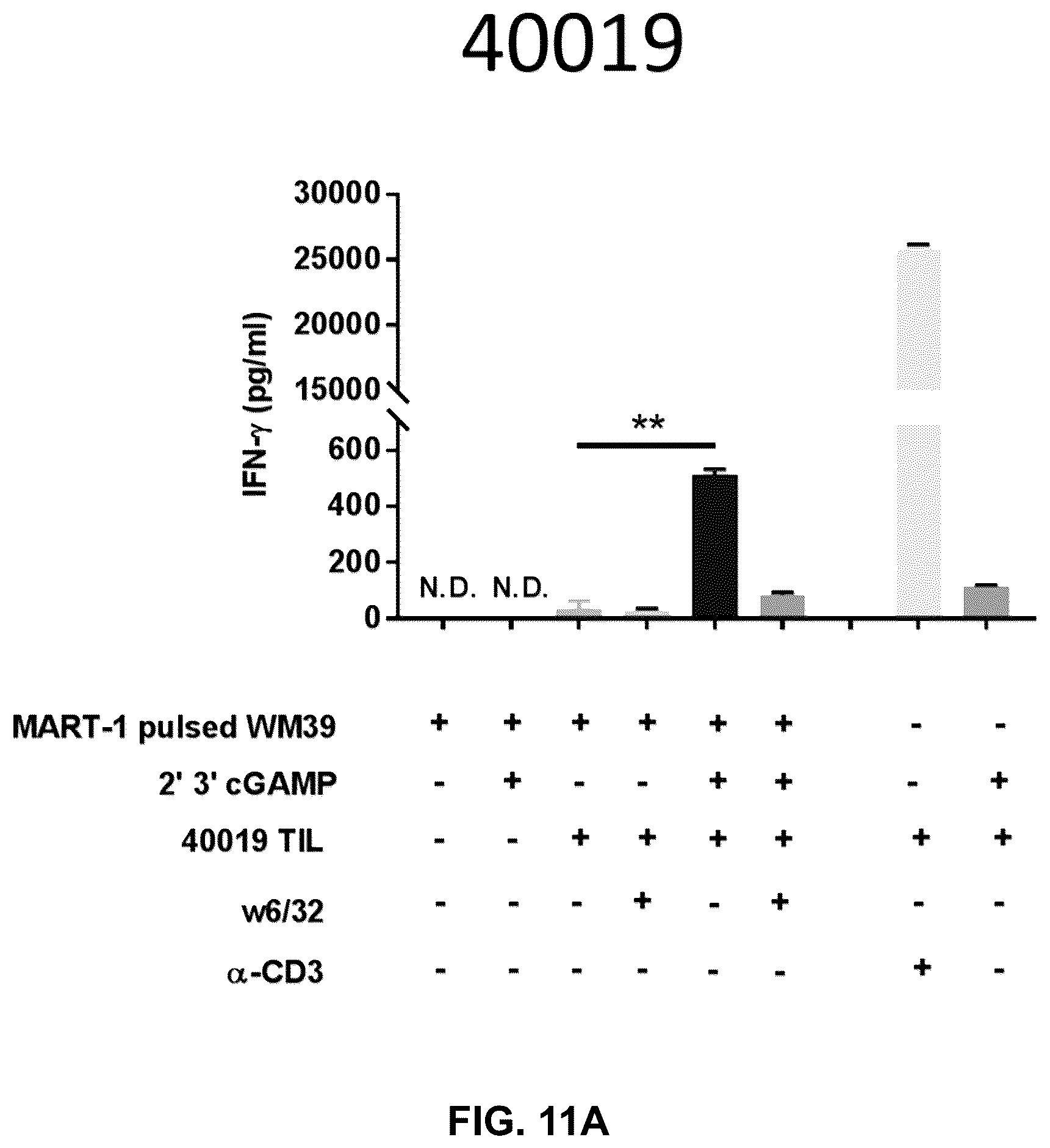 Patent US12599621 Figure 19 – Enhancing anti-tumor response in melanoma cells with defective sting signaling