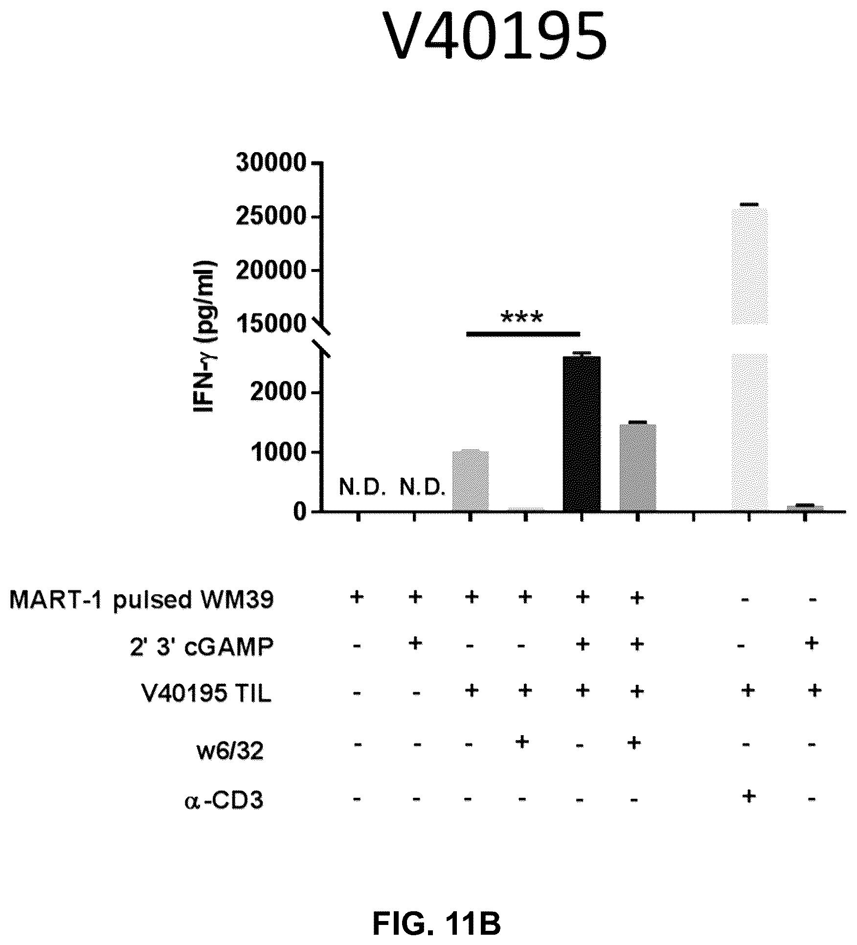 Patent US12599621 Figure 20 – Enhancing anti-tumor response in melanoma cells with defective sting signaling