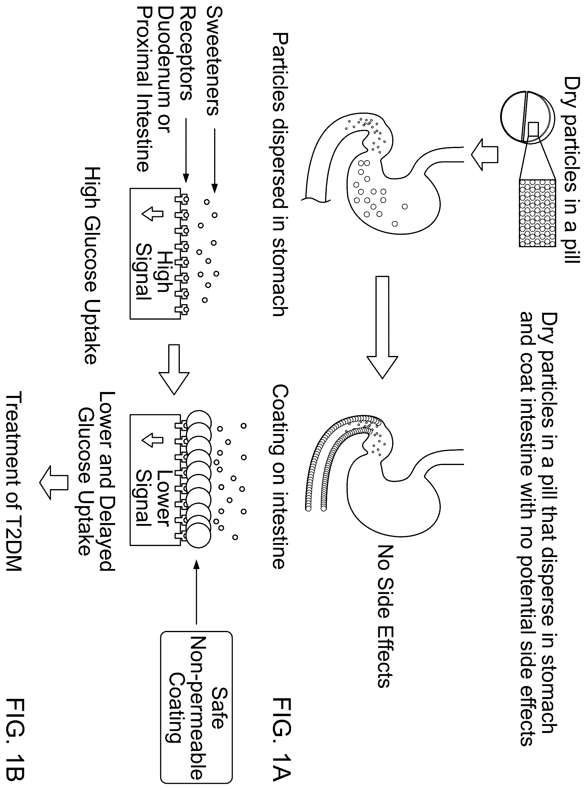 Patent US12599622 Figure 1 – Compounds to modulate intestinal absorption of nutrients