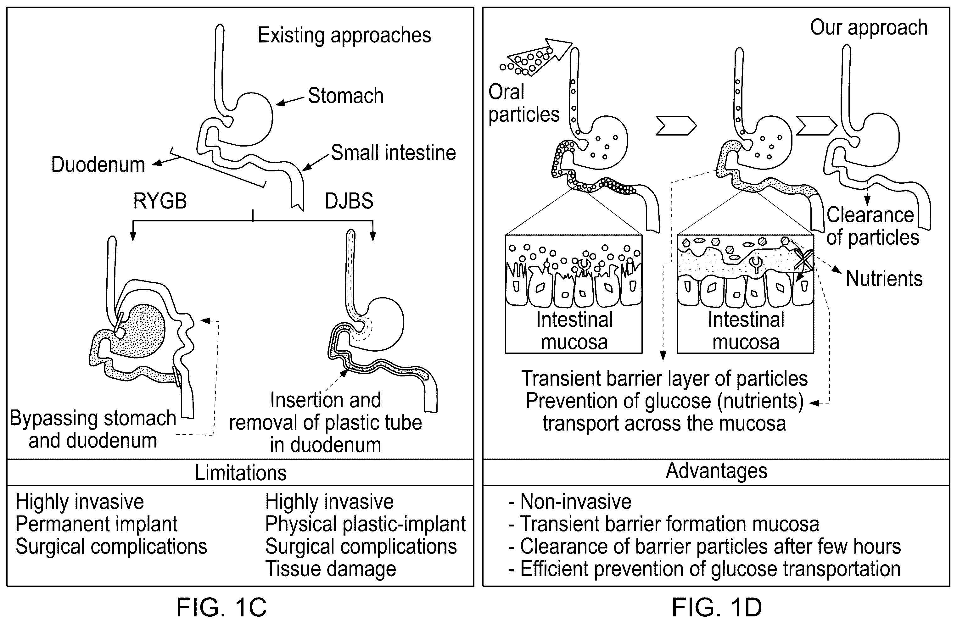 Patent US12599622 Figure 2 – Compounds to modulate intestinal absorption of nutrients