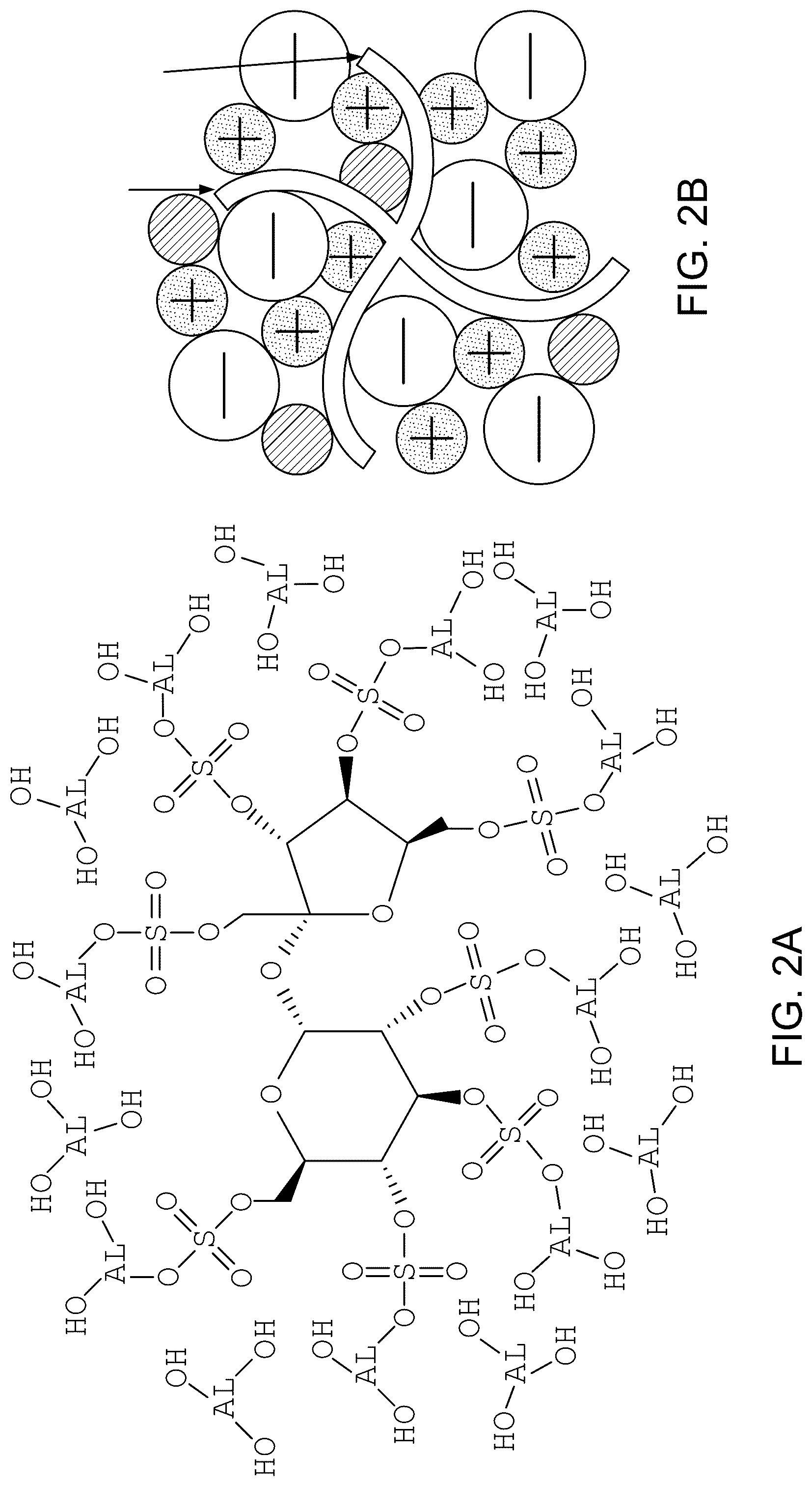 Patent US12599622 Figure 3 – Compounds to modulate intestinal absorption of nutrients
