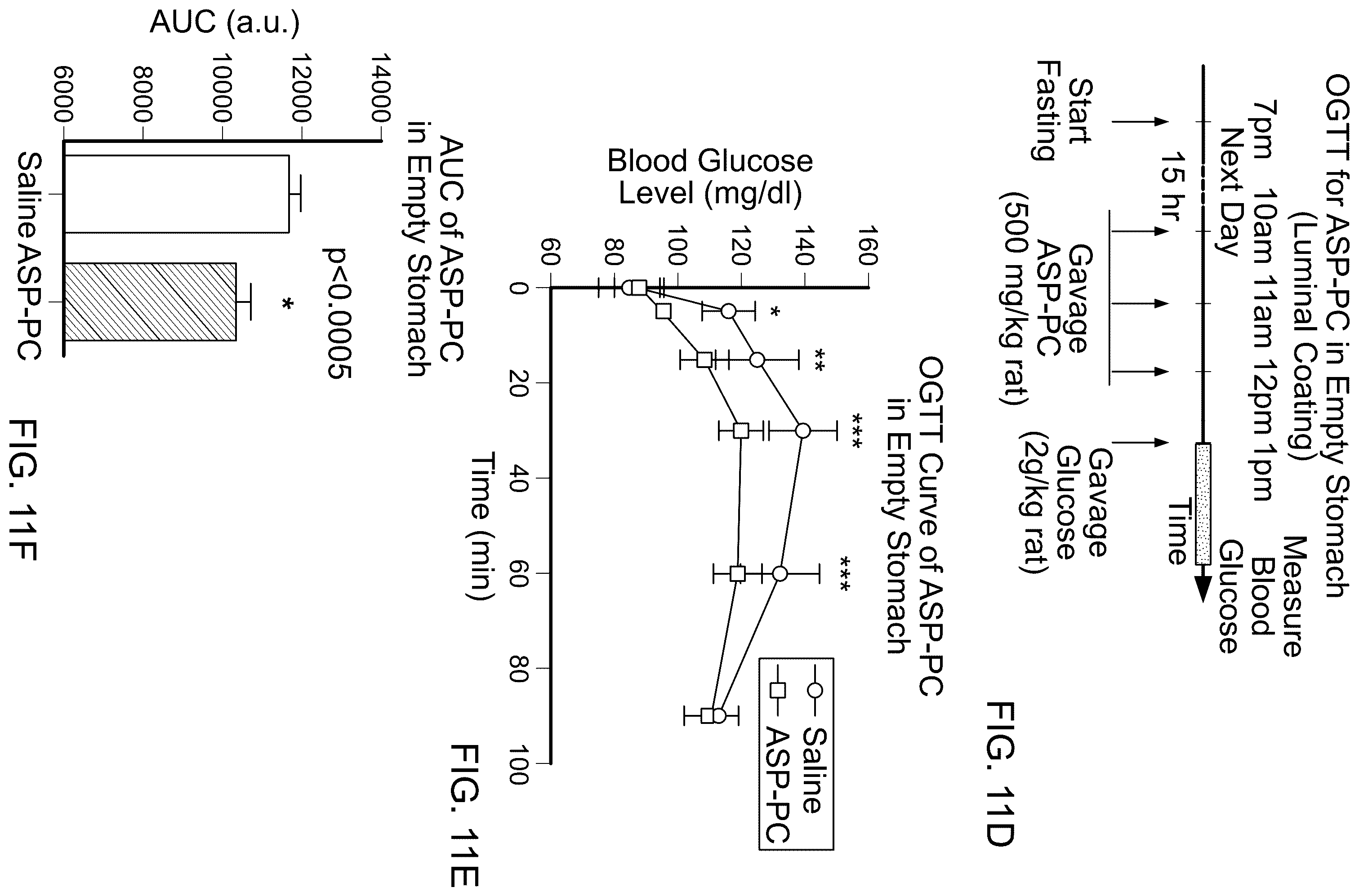 Patent US12599622 Figure 16 – Compounds to modulate intestinal absorption of nutrients