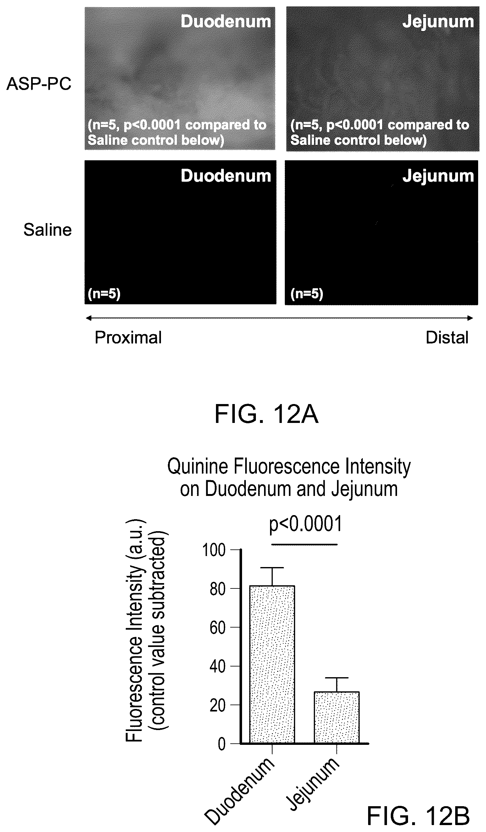 Patent US12599622 Figure 18 – Compounds to modulate intestinal absorption of nutrients