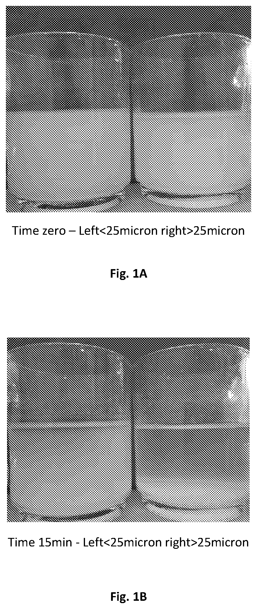 Patent US12599629 Figure 1 – Coagulation mold, a kit and a method for preparing a coagulated blood mass