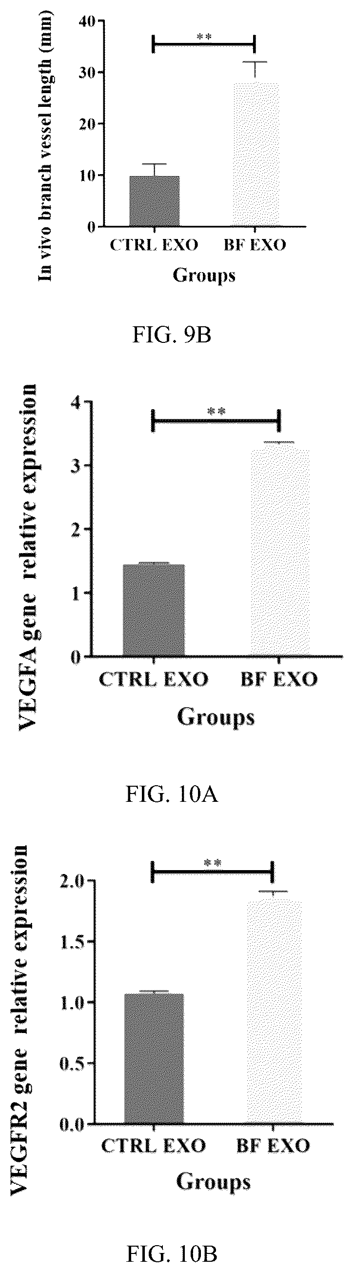 Patent US12599630 Figure 5 – Serum exosome with high osteogenesis and high angiogenesis, preparation method, and application thereof