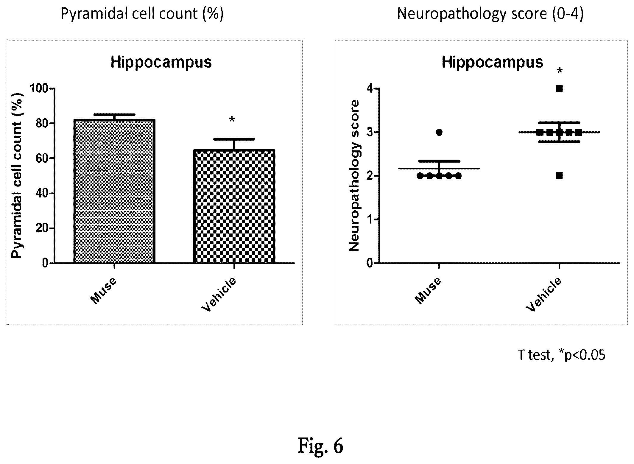 Patent US12599631 Figure 5 – Agent for treating or preventing vascular dementia