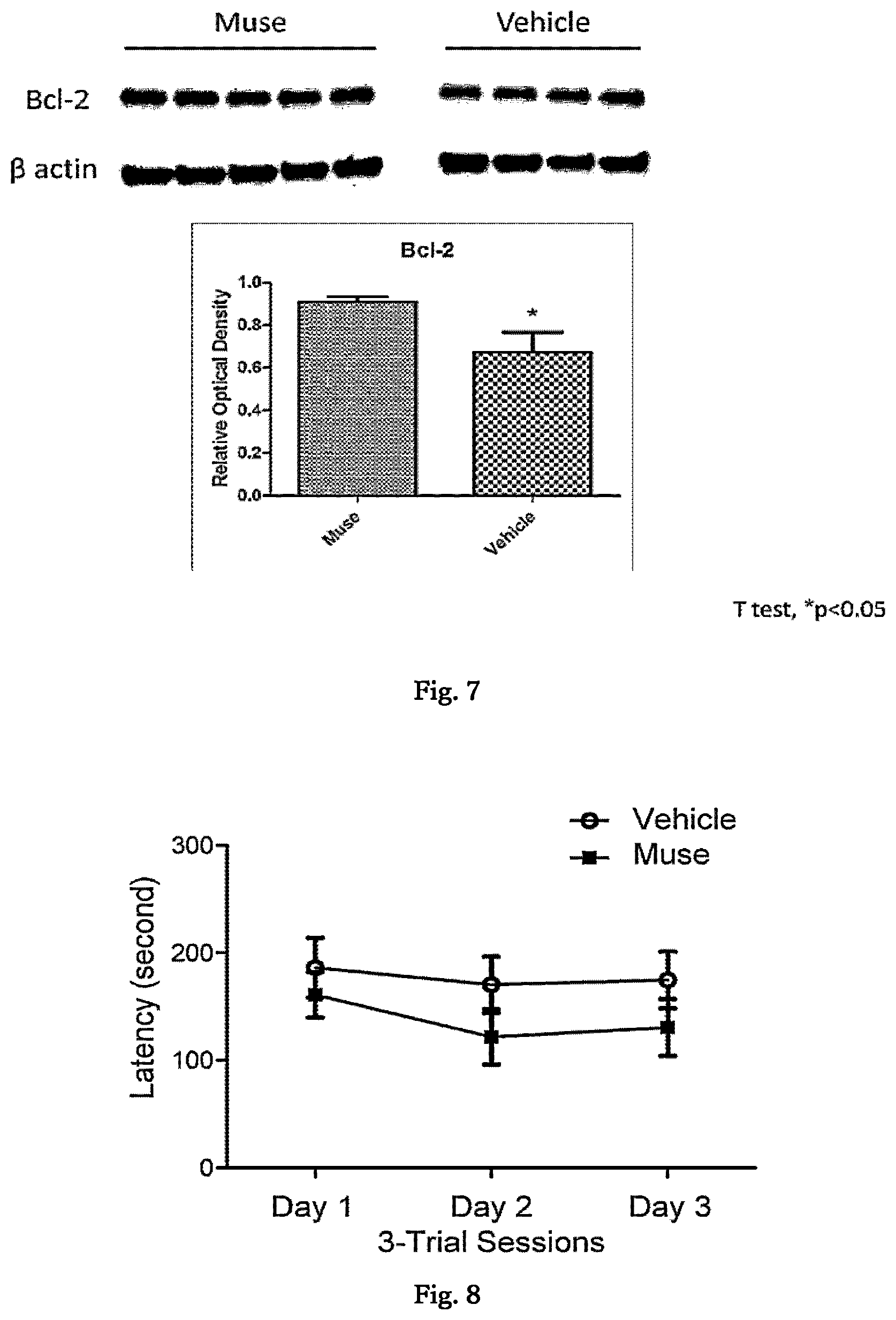 Patent US12599631 Figure 6 – Agent for treating or preventing vascular dementia