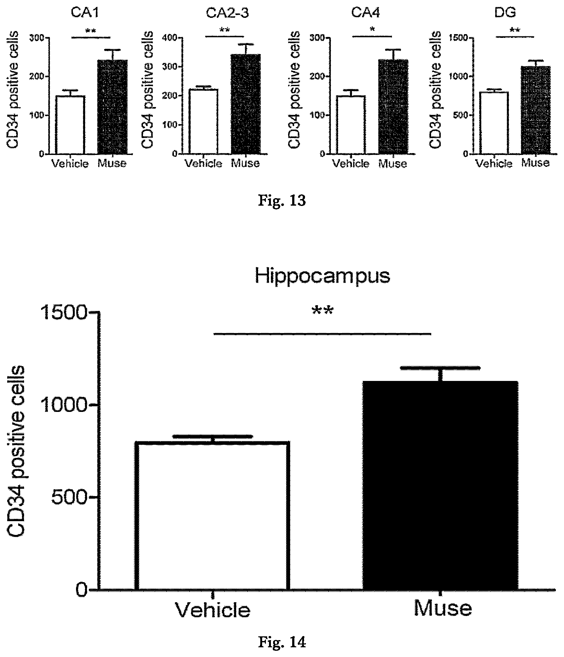 Patent US12599631 Figure 9 – Agent for treating or preventing vascular dementia