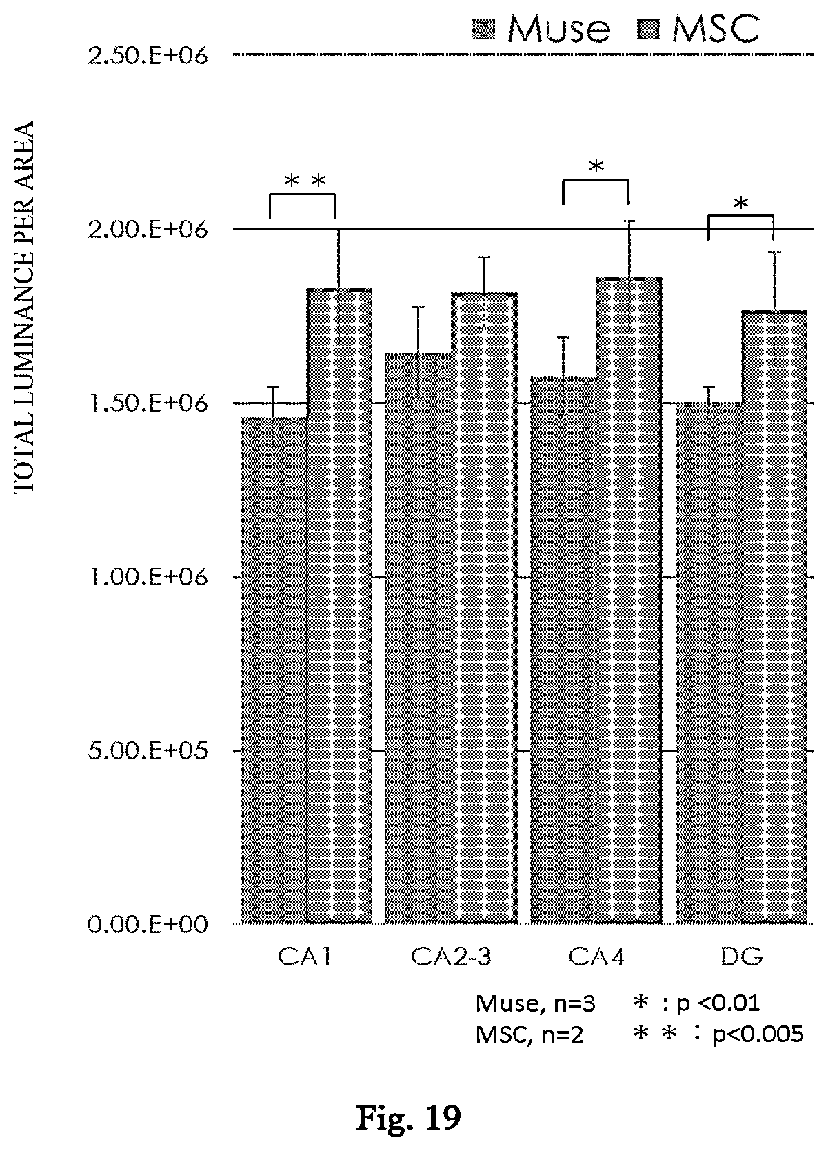 Patent US12599631 Figure 13 – Agent for treating or preventing vascular dementia
