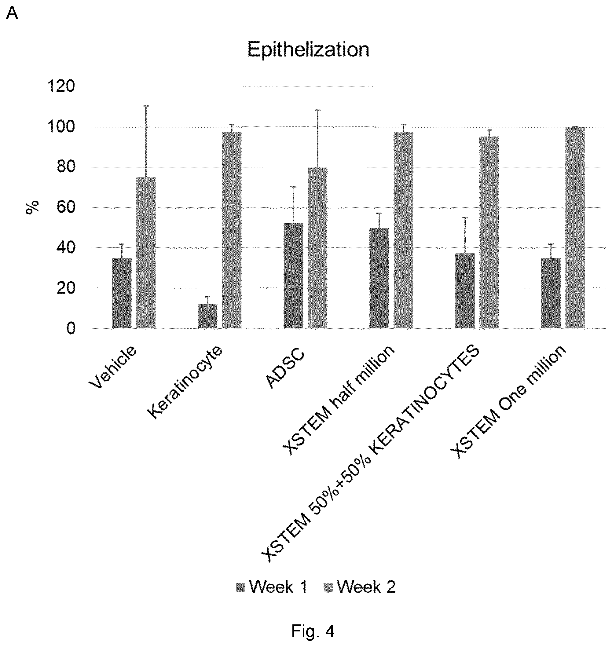 Patent US12599633 Figure 4 – Mesenchymal stem cells for use in the treatment of skin defects