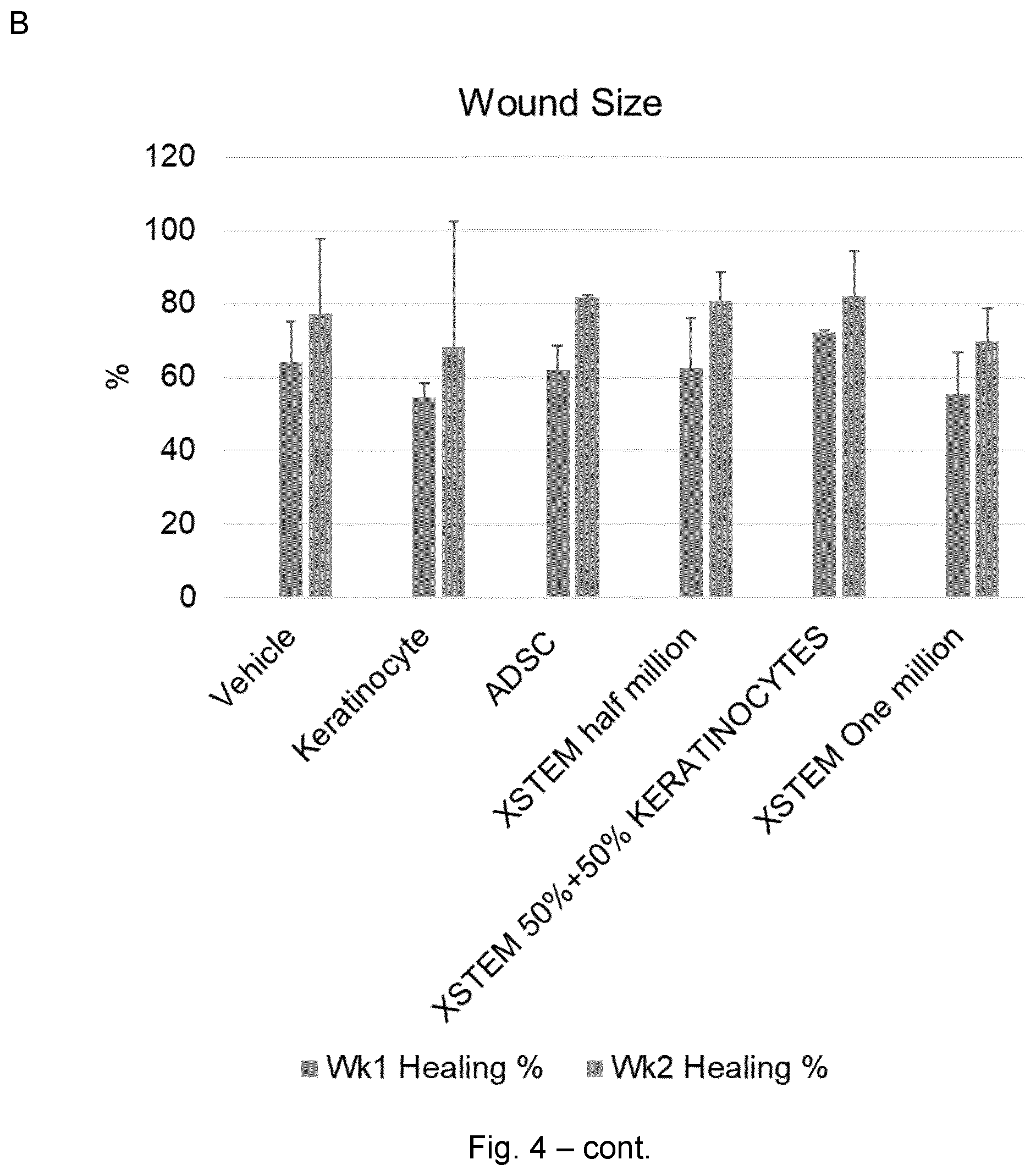 Patent US12599633 Figure 5 – Mesenchymal stem cells for use in the treatment of skin defects