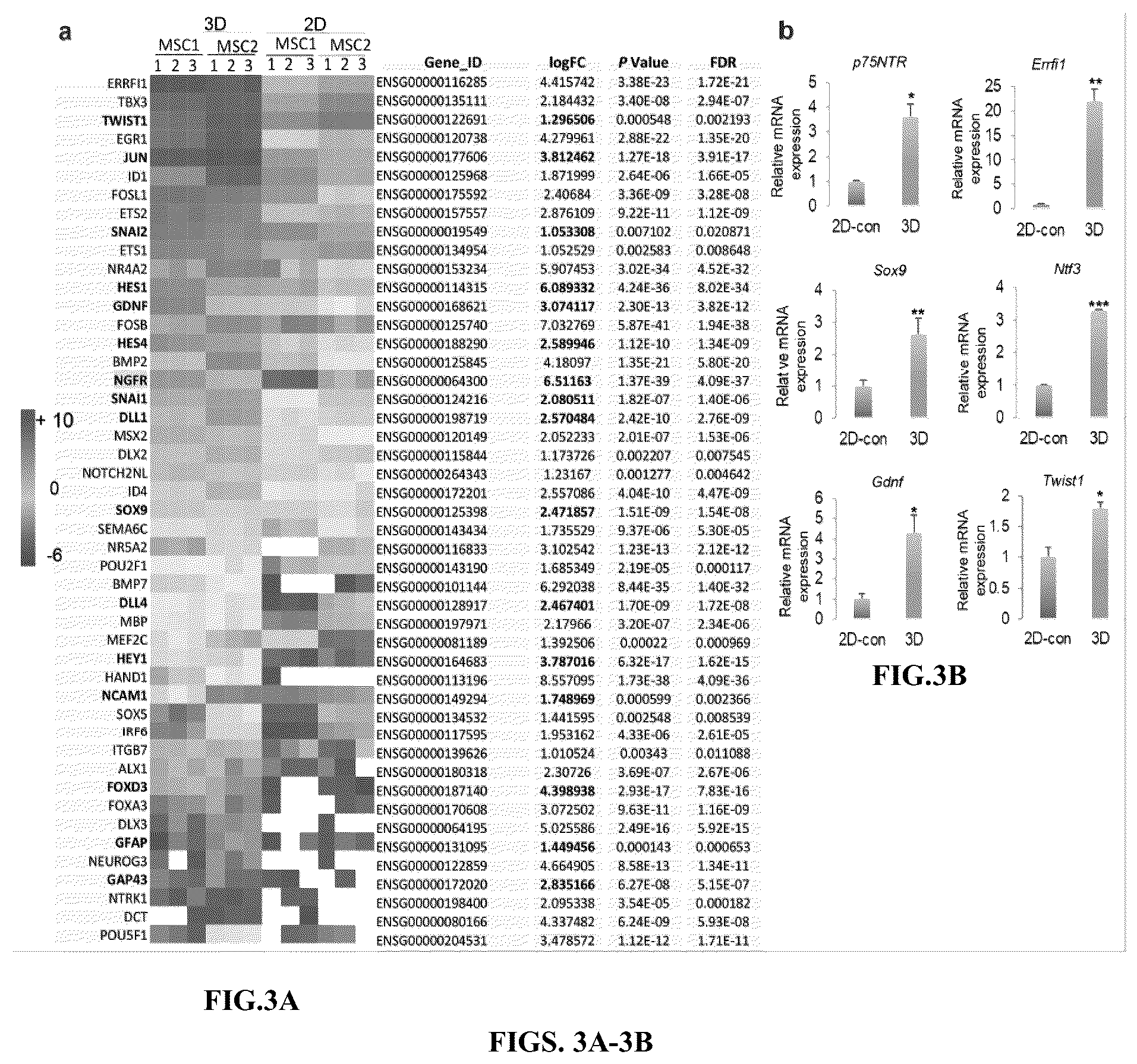 Patent US12599634 Figure 3 – Nerve guidance conduit comprising neural crest stem-like cells and/or Schwann cell precursor-like cells and methods of making and using the same