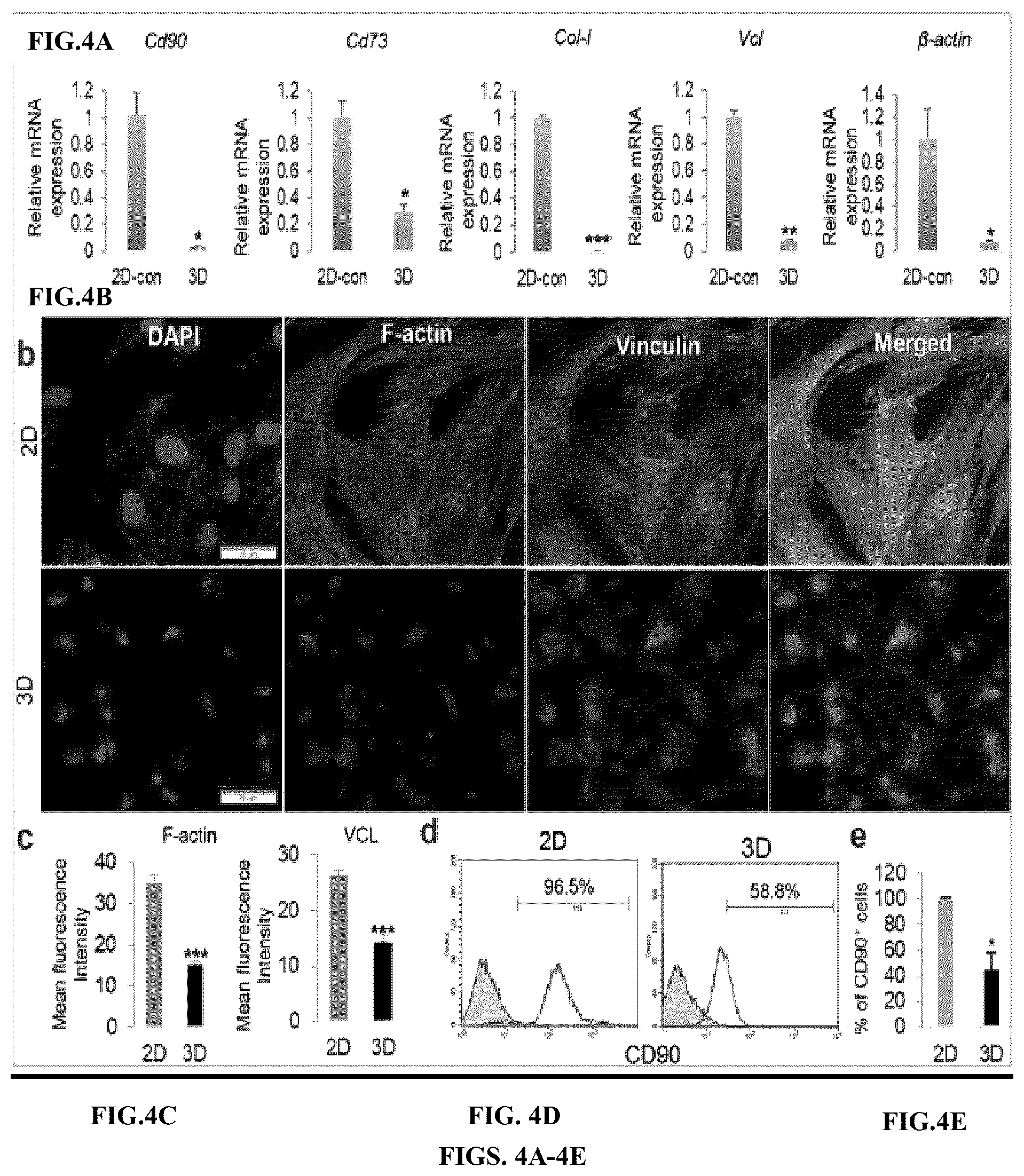 Patent US12599634 Figure 4 – Nerve guidance conduit comprising neural crest stem-like cells and/or Schwann cell precursor-like cells and methods of making and using the same