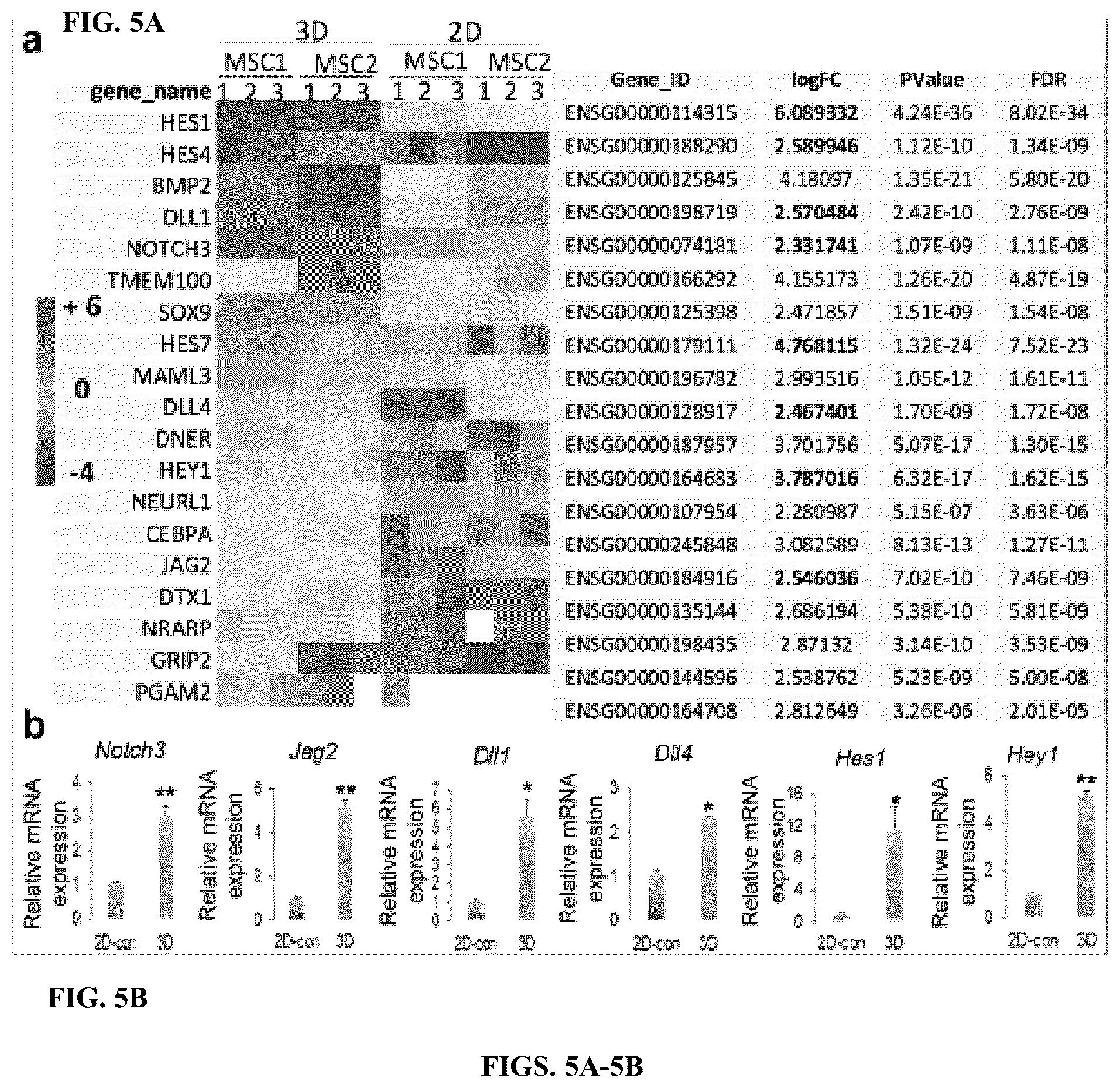 Patent US12599634 Figure 5 – Nerve guidance conduit comprising neural crest stem-like cells and/or Schwann cell precursor-like cells and methods of making and using the same