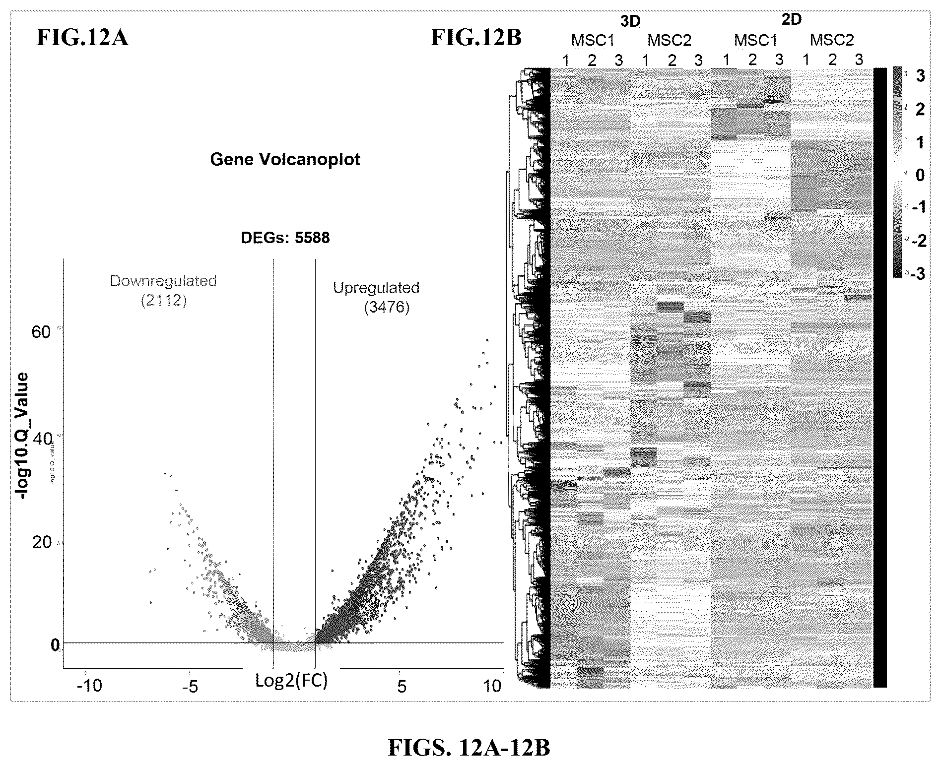Patent US12599634 Figure 13 – Nerve guidance conduit comprising neural crest stem-like cells and/or Schwann cell precursor-like cells and methods of making and using the same