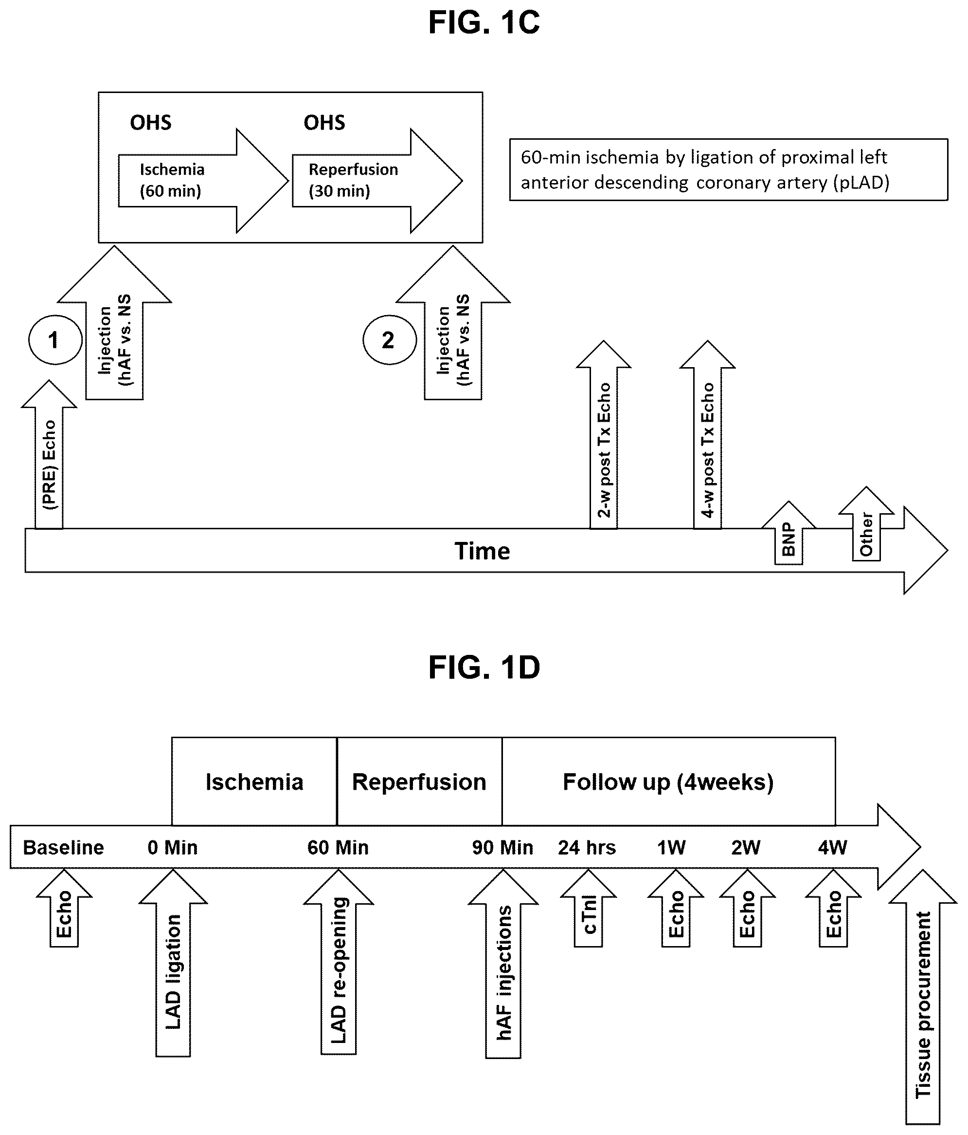 Patent US12599635 Figure 3 – Compositions and treatments for ischemic injuries