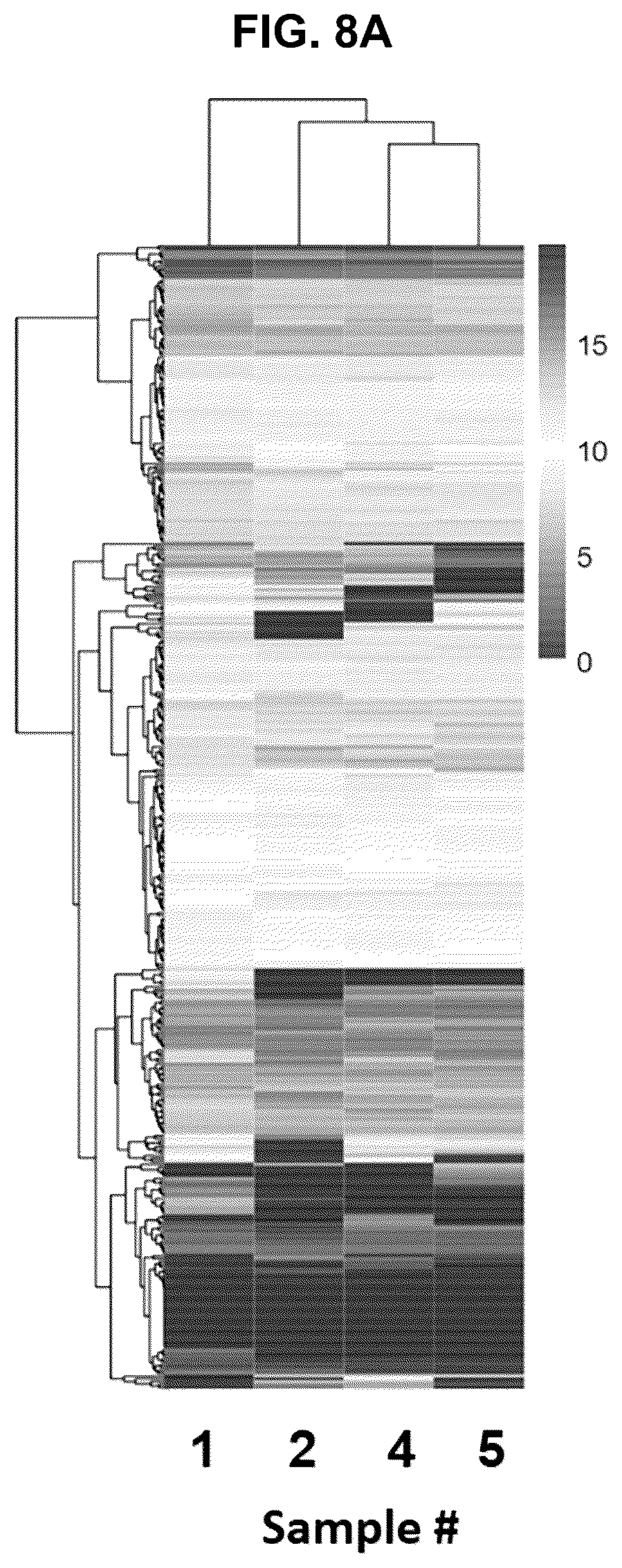 Patent US12599635 Figure 16 – Compositions and treatments for ischemic injuries