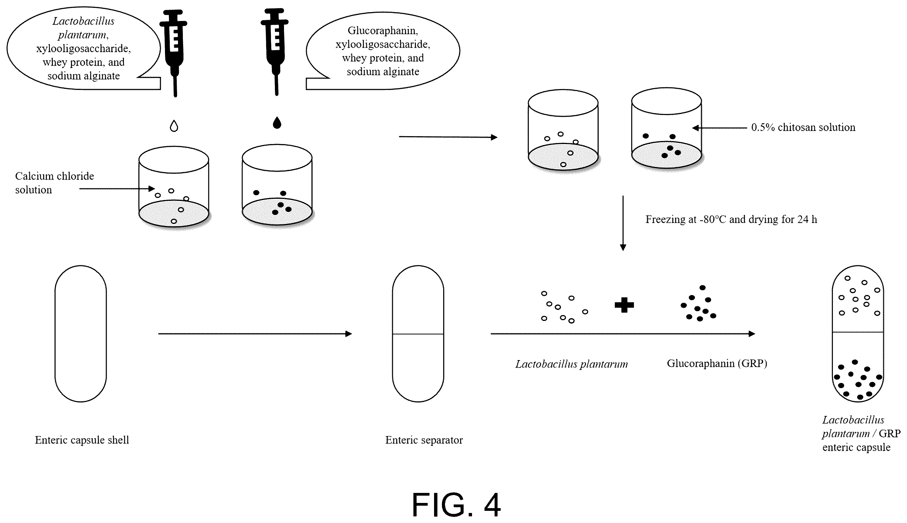 Patent US12599640 Figure 3 – Lactobacillus plantarum ZUST49 and bacterial agent, and use thereof