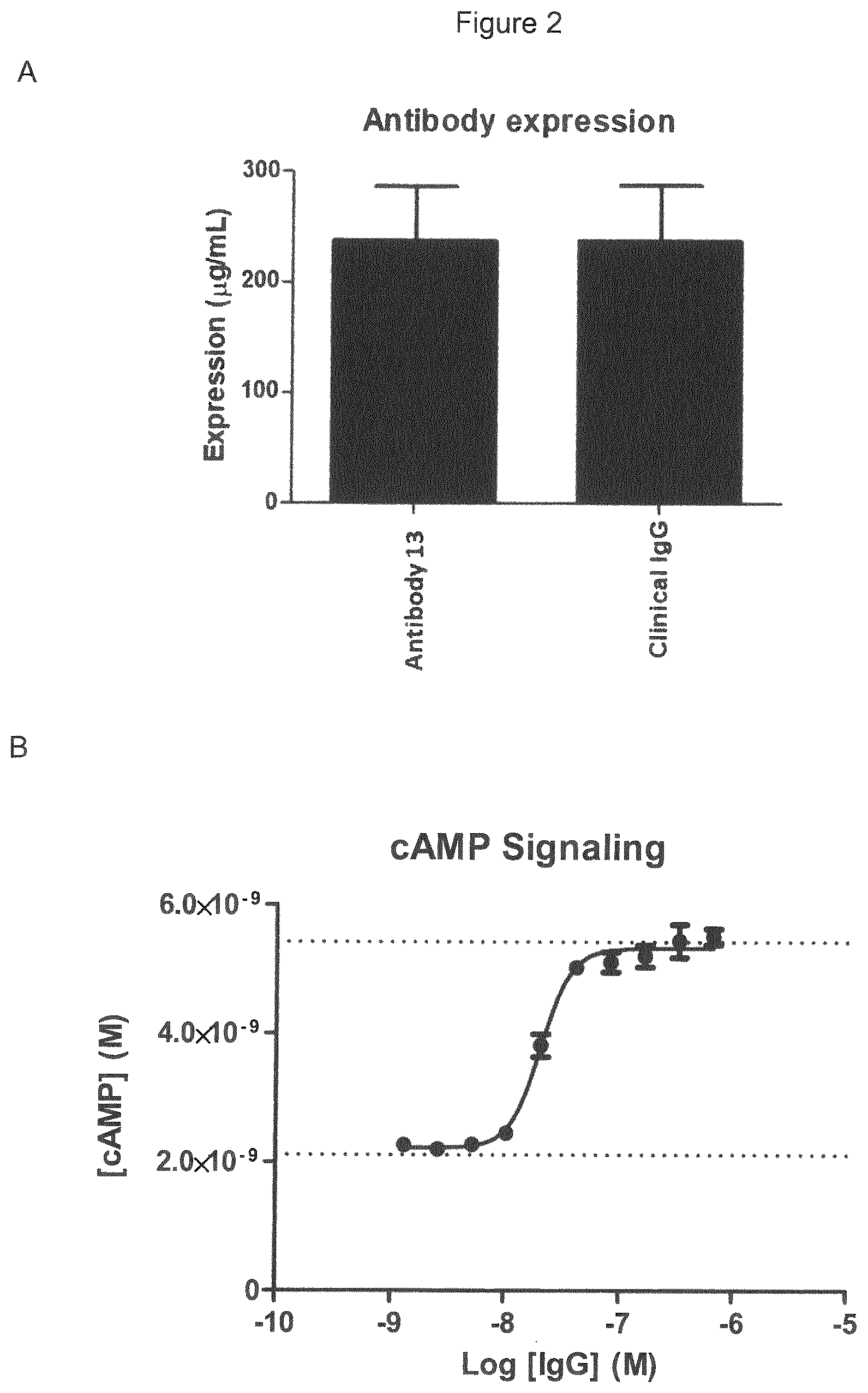 Patent US12599645 Figure 4 – Antibodies which bind to lysophosphatidic acid receptor 1 (LPAR1)
