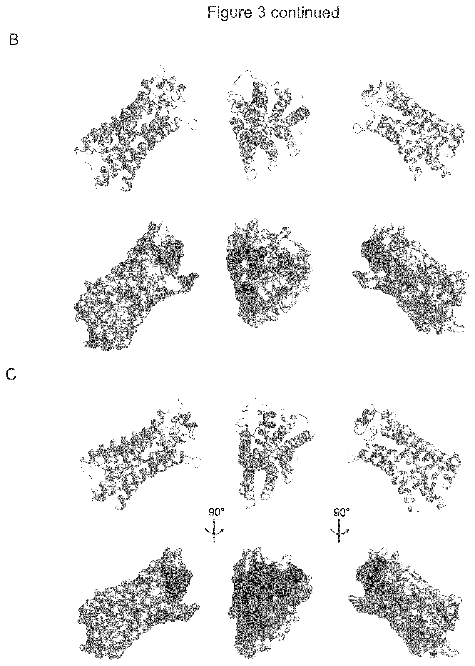 Patent US12599645 Figure 7 – Antibodies which bind to lysophosphatidic acid receptor 1 (LPAR1)